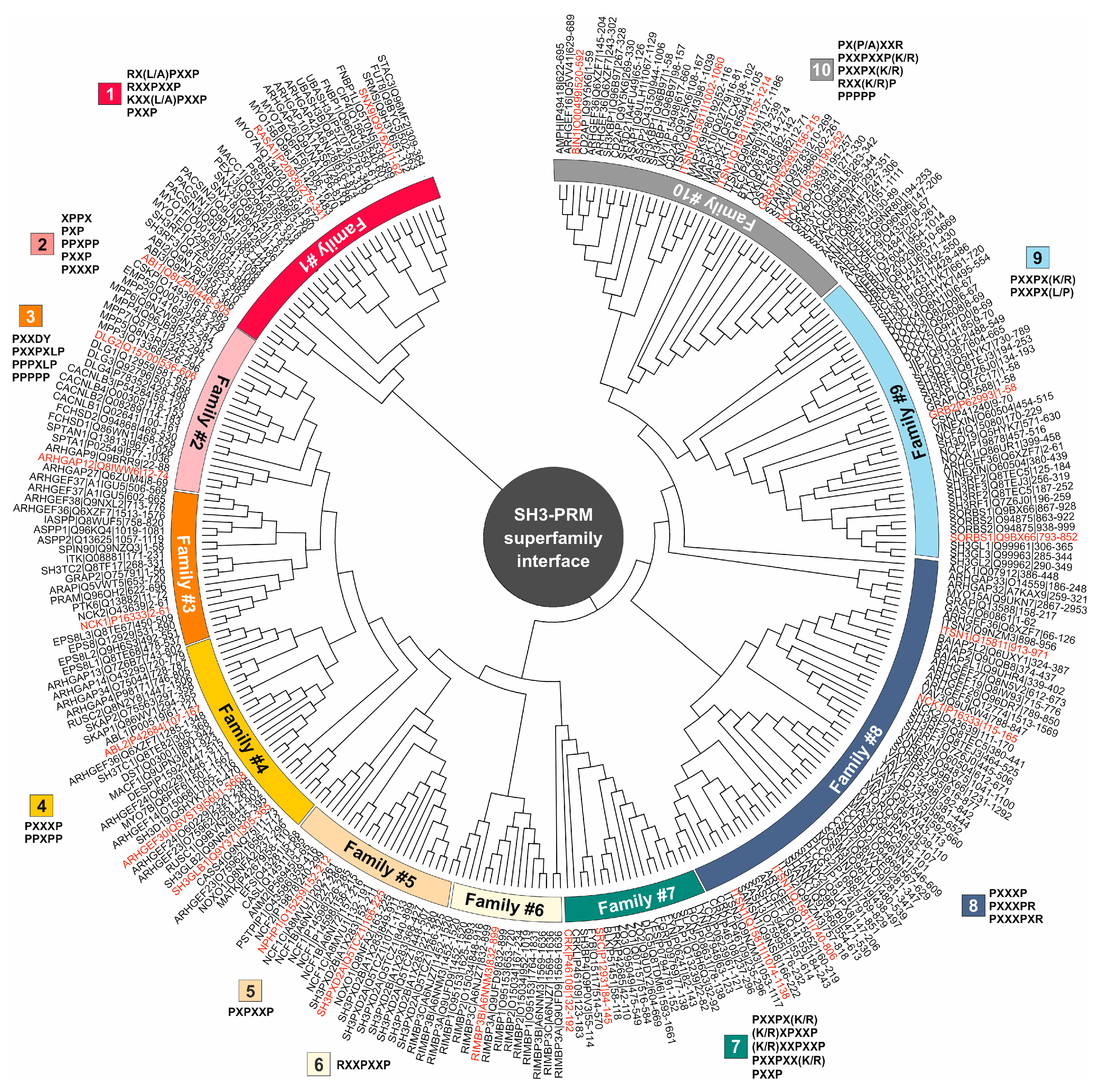 Preprints 93268 g001