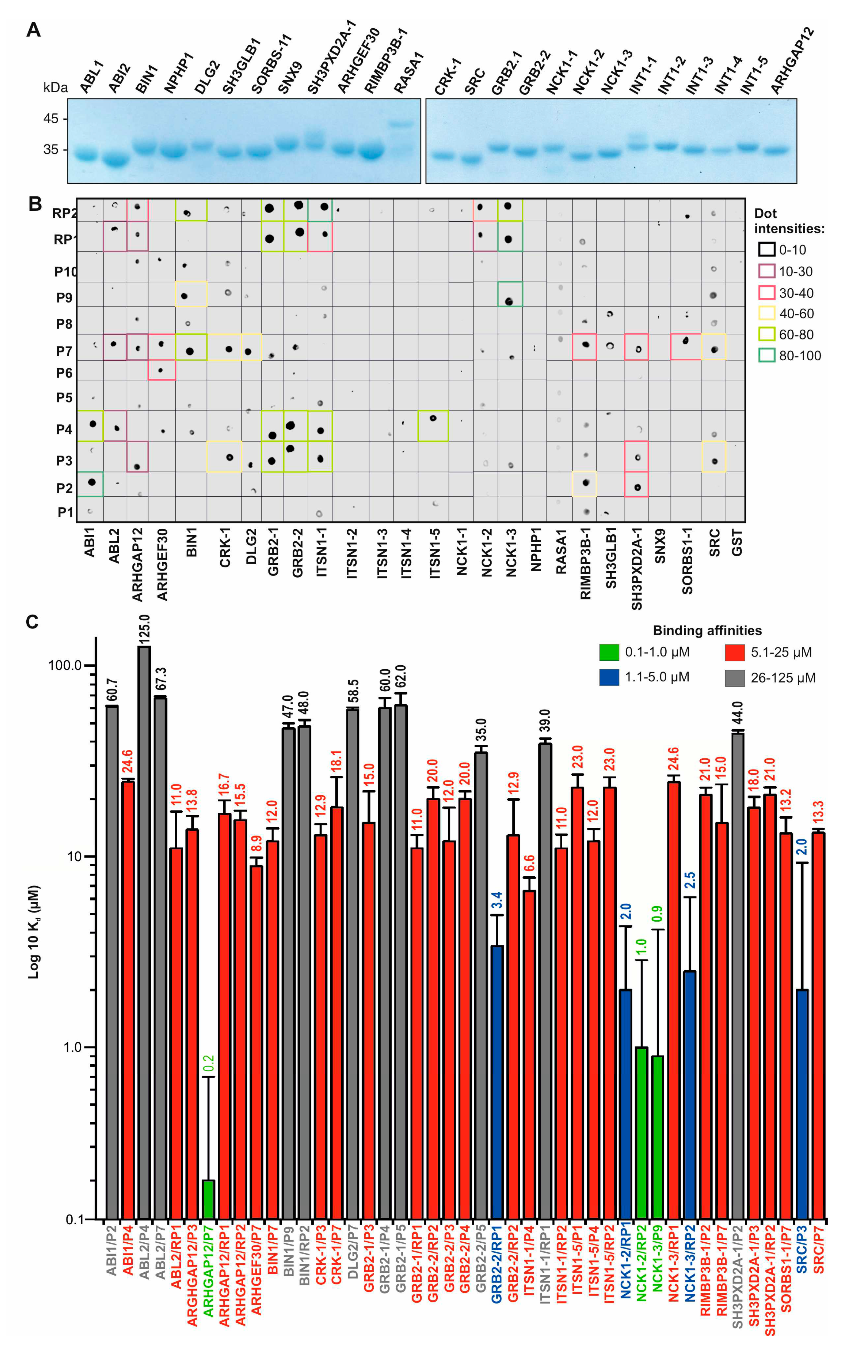 Preprints 93268 g002