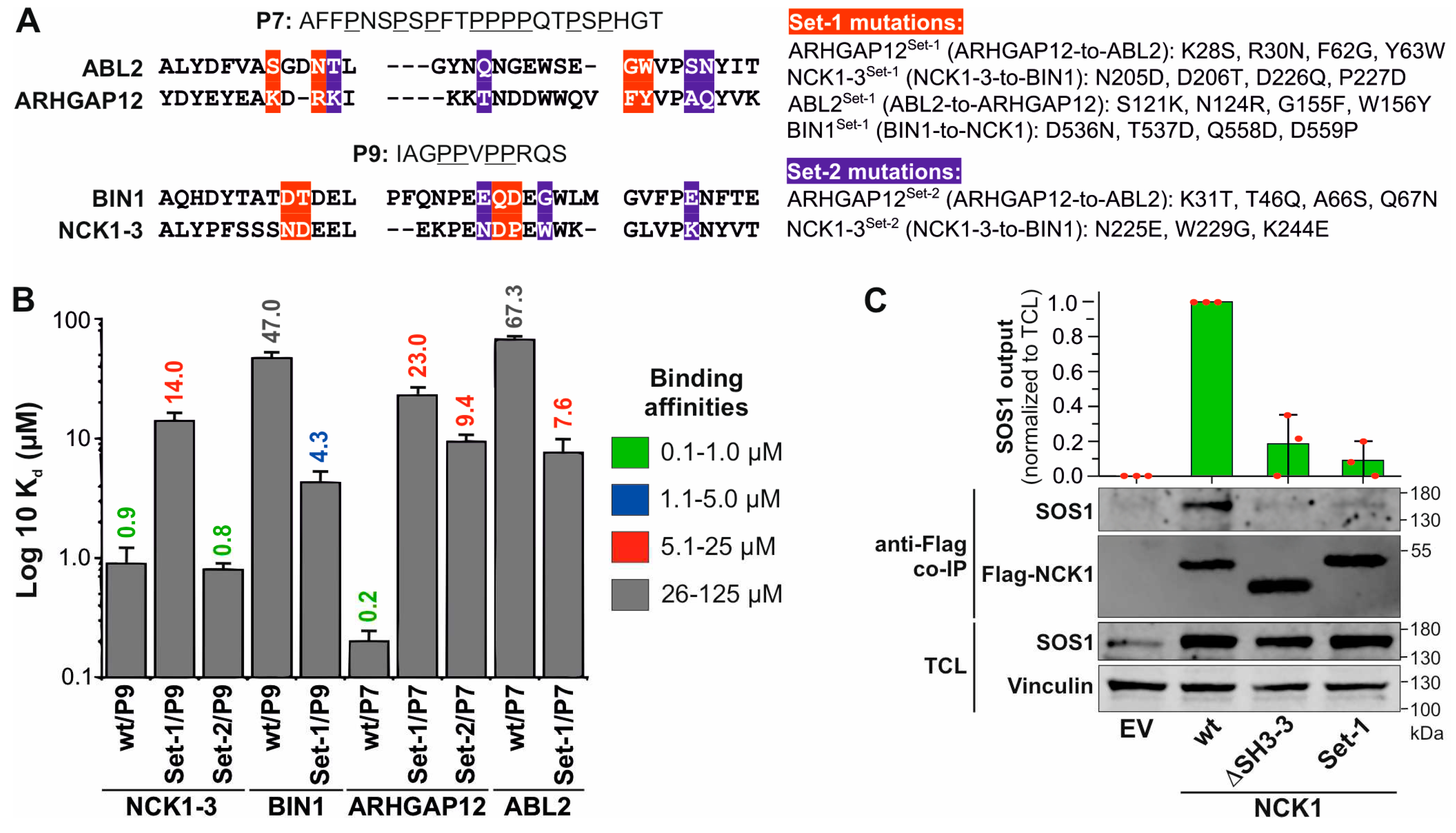 Preprints 93268 g003