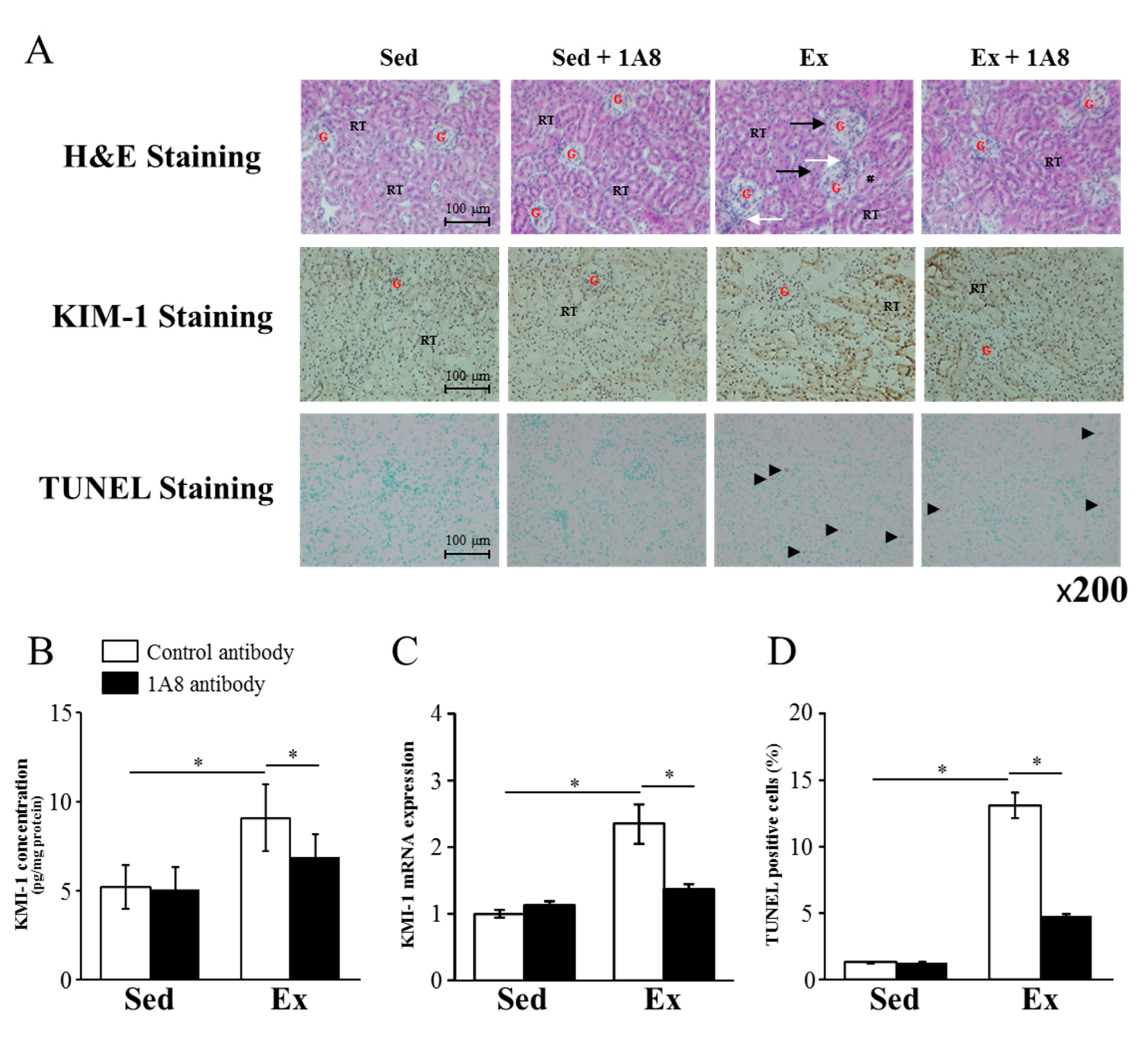 Preprints 74781 g002