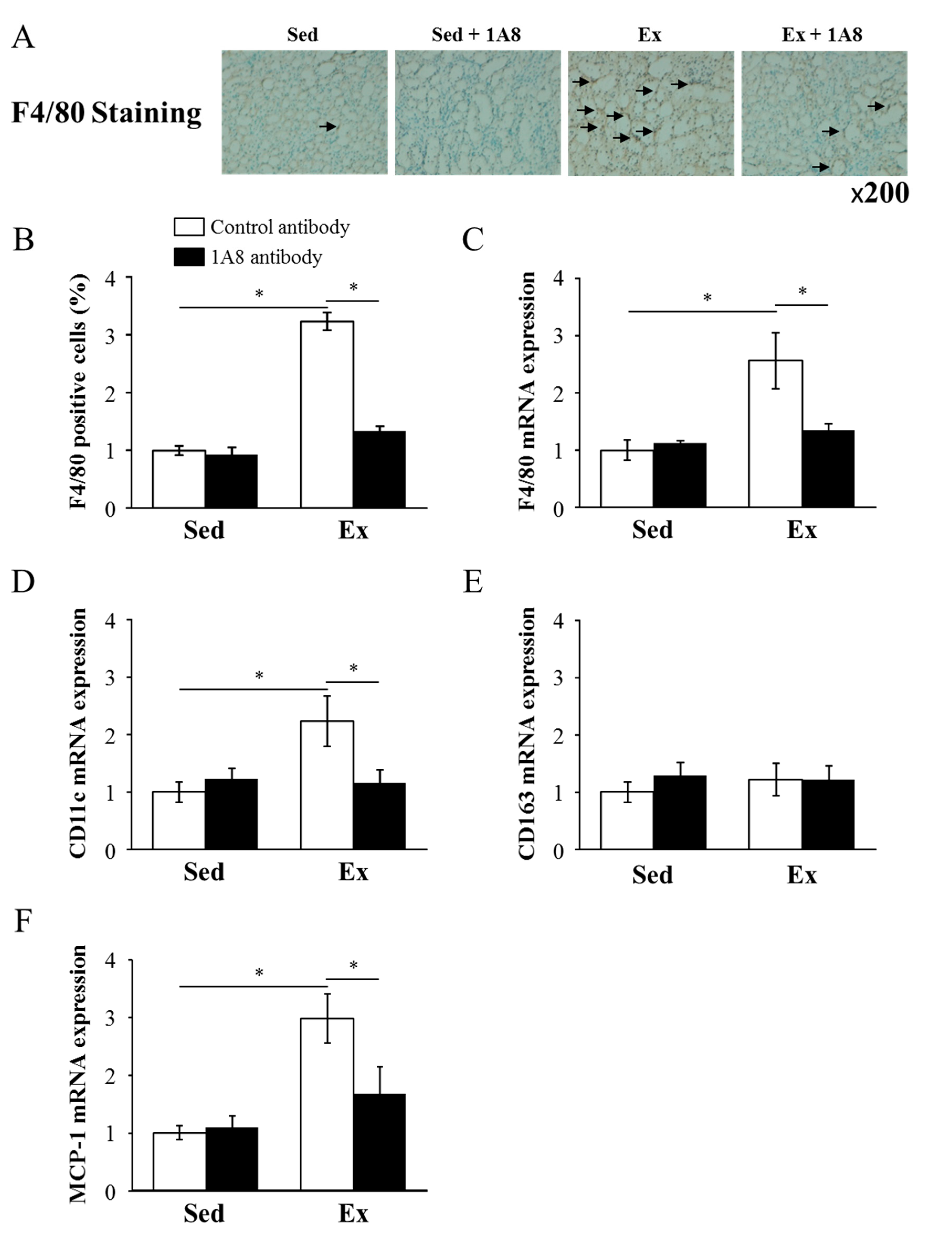 Preprints 74781 g004