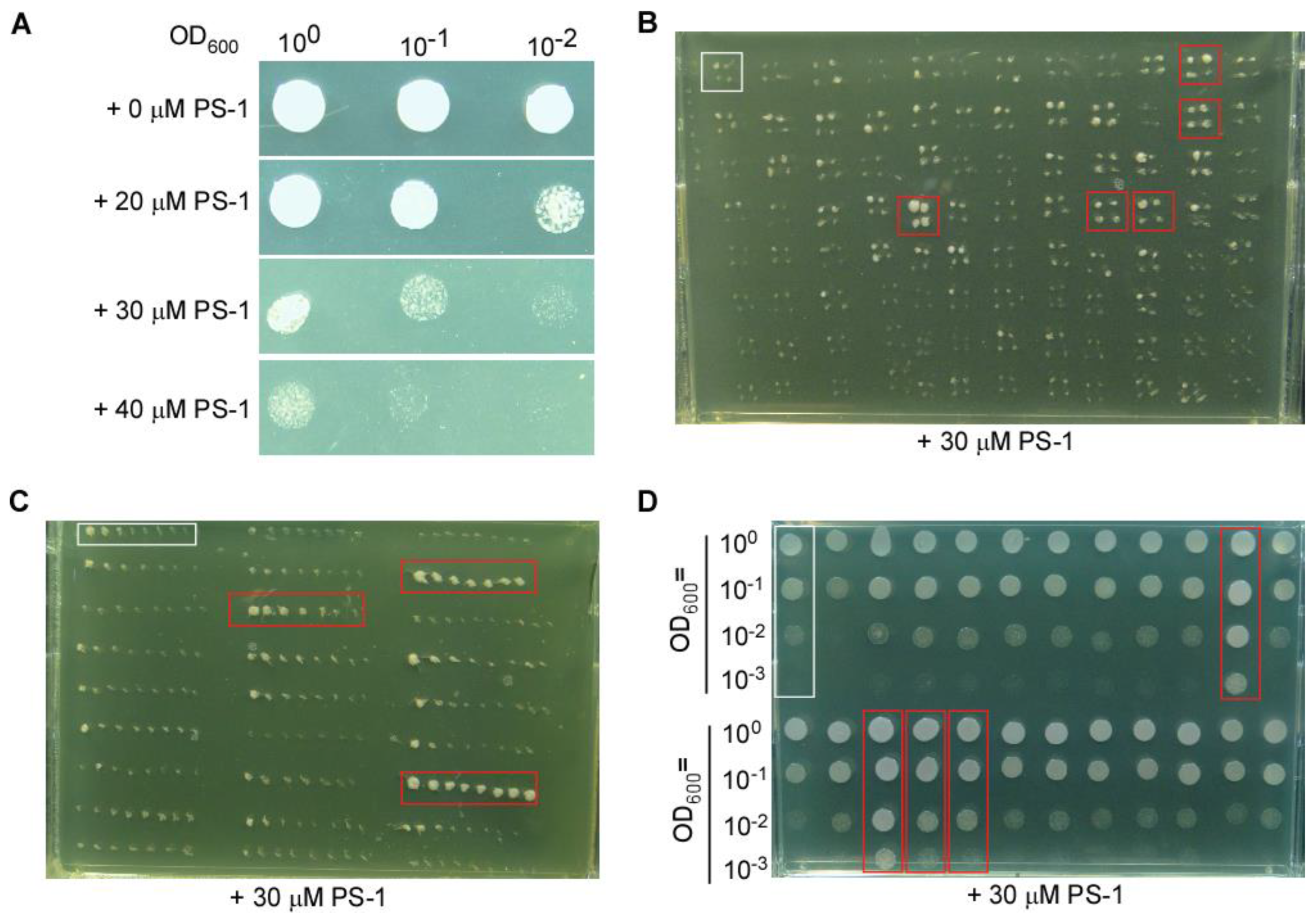 Preprints 90475 g001