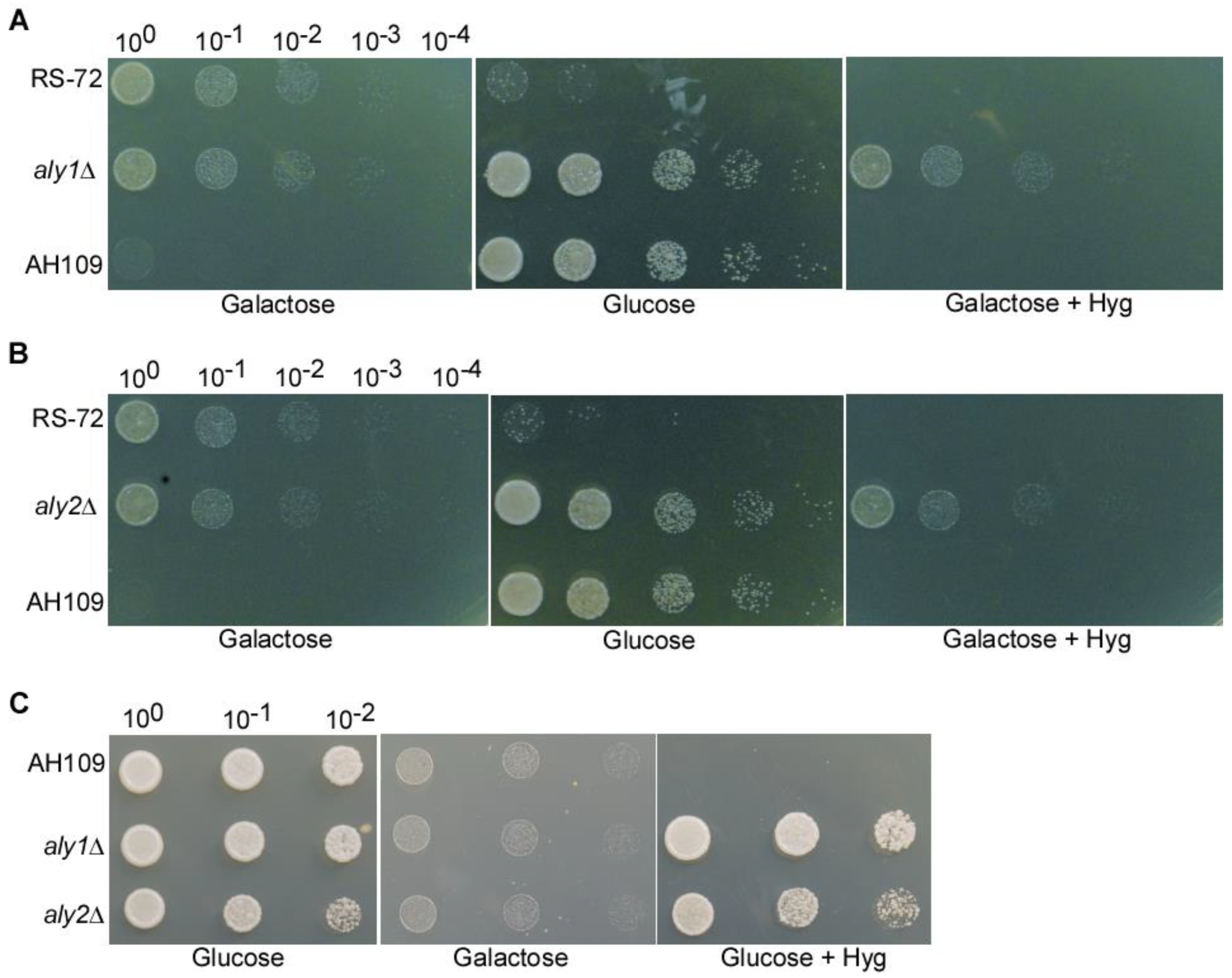 Preprints 90475 g002