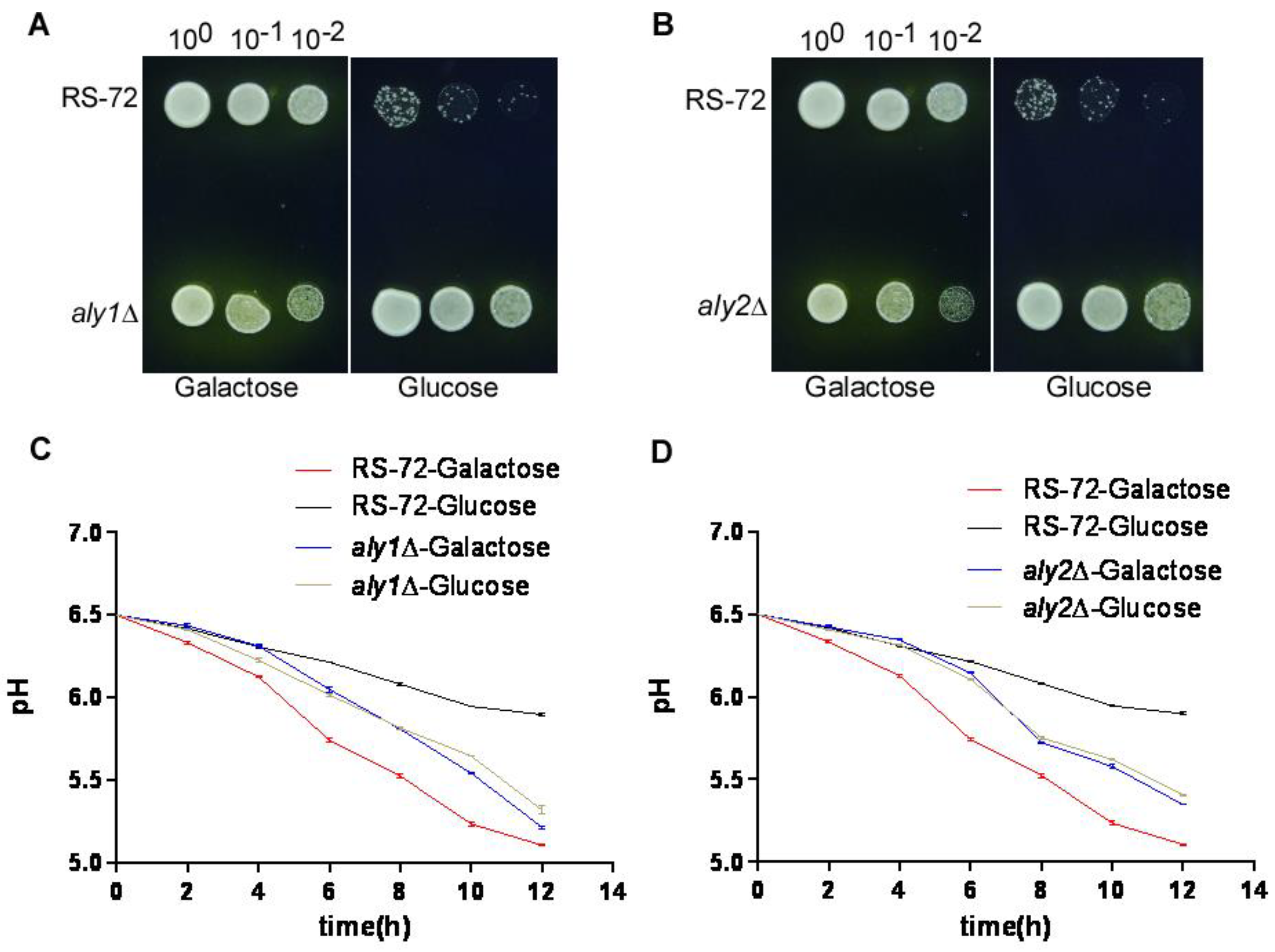 Preprints 90475 g003