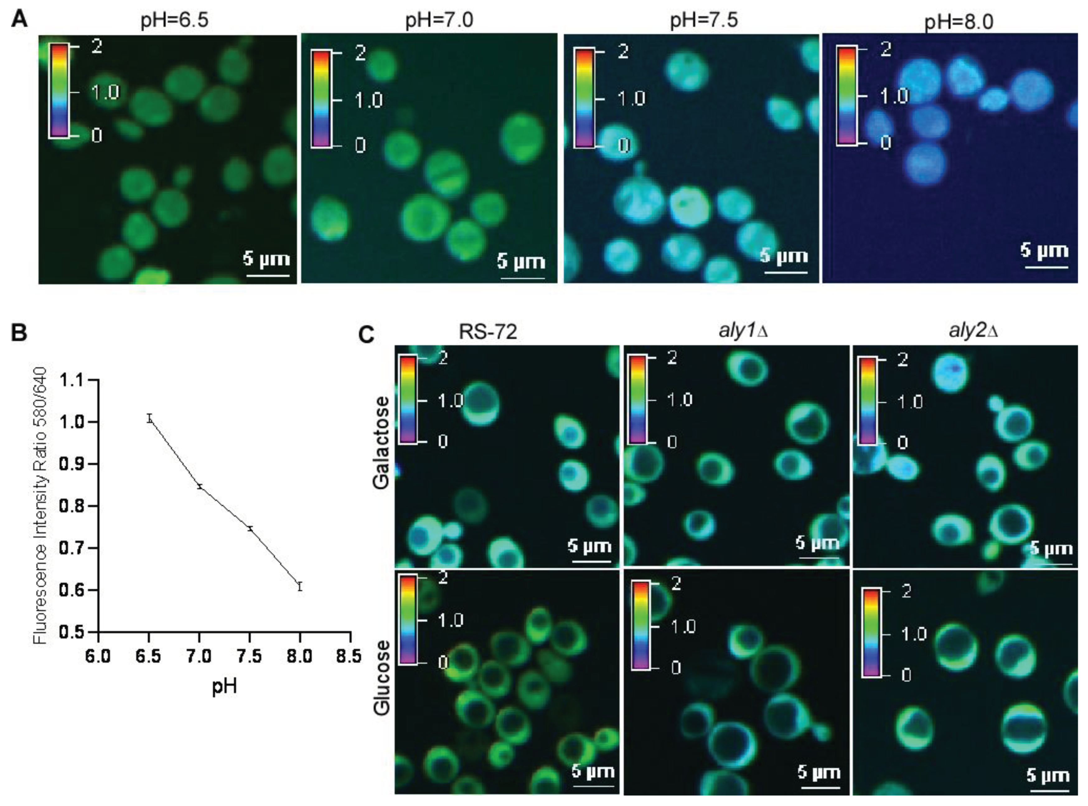 Preprints 90475 g004