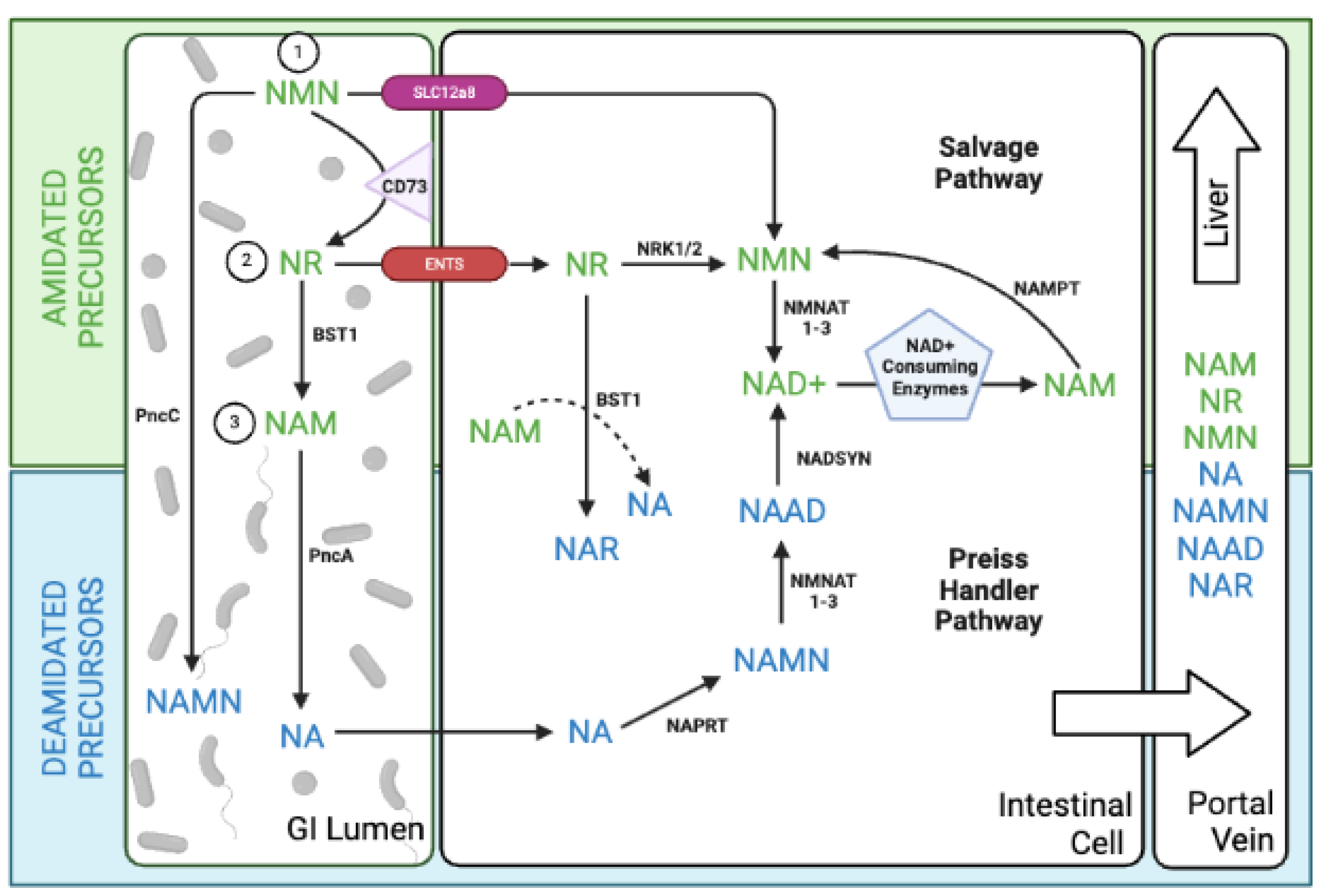 Preprints 102437 g002