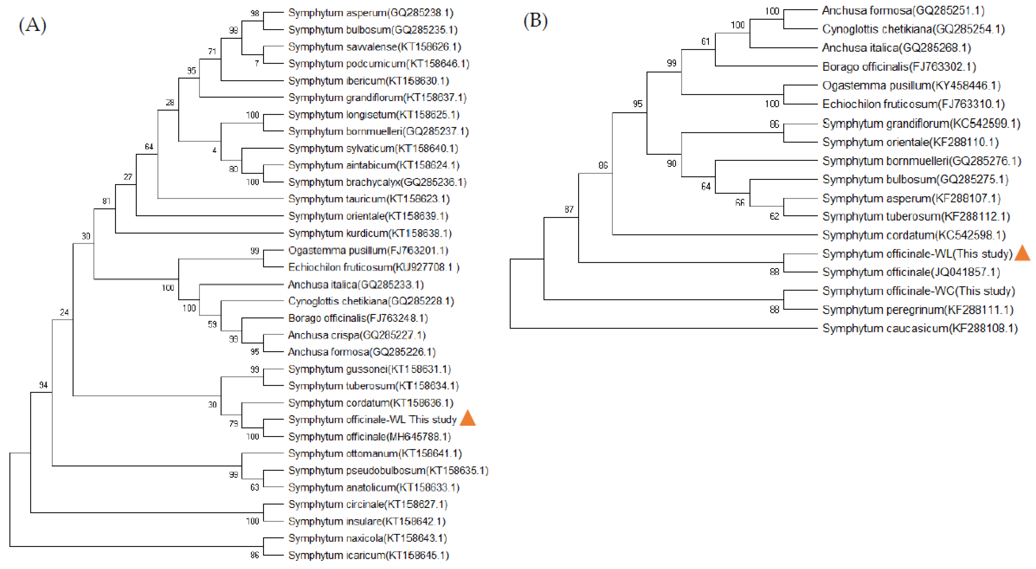 Preprints 82911 g001