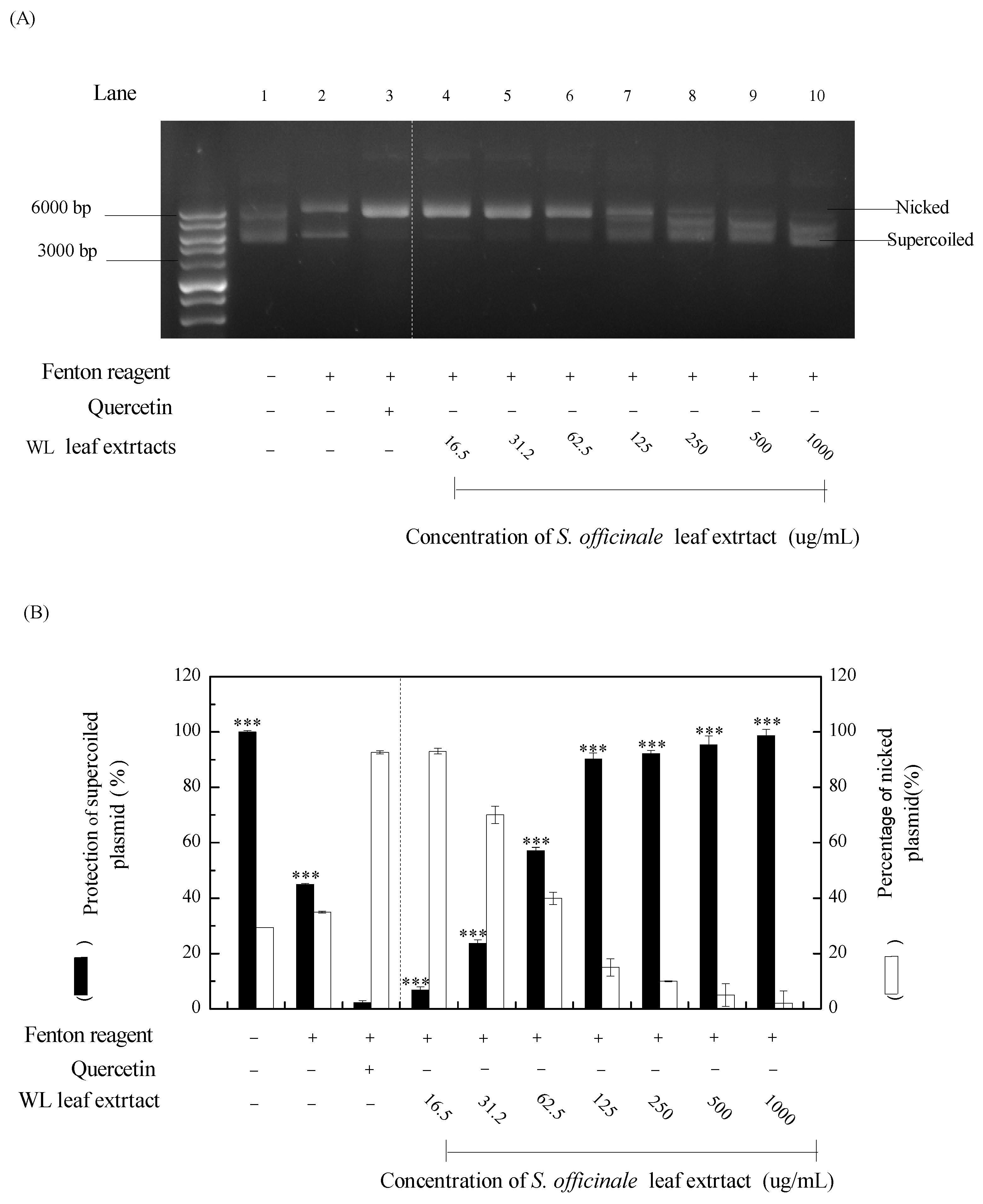 Preprints 82911 g003