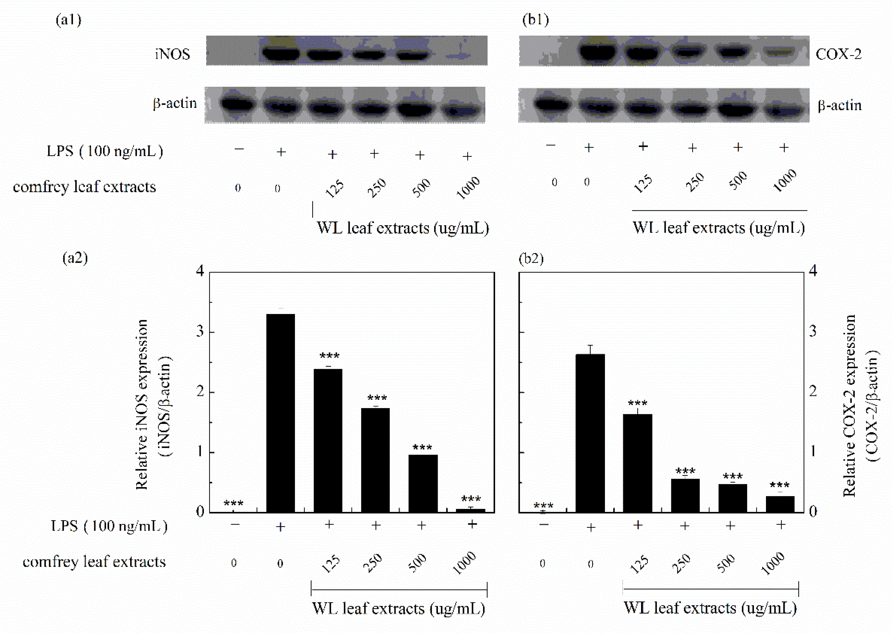 Preprints 82911 g006