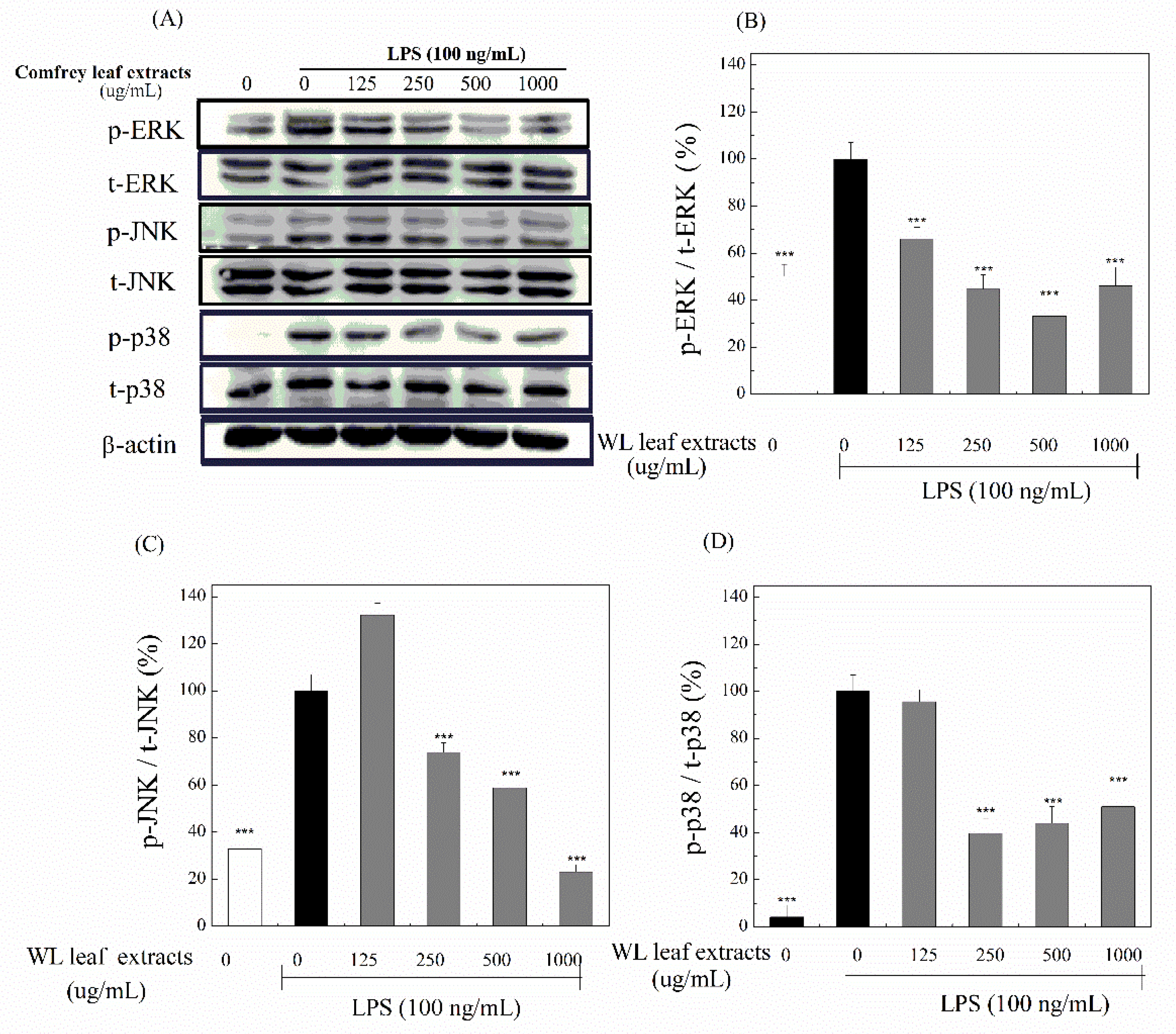 Preprints 82911 g008