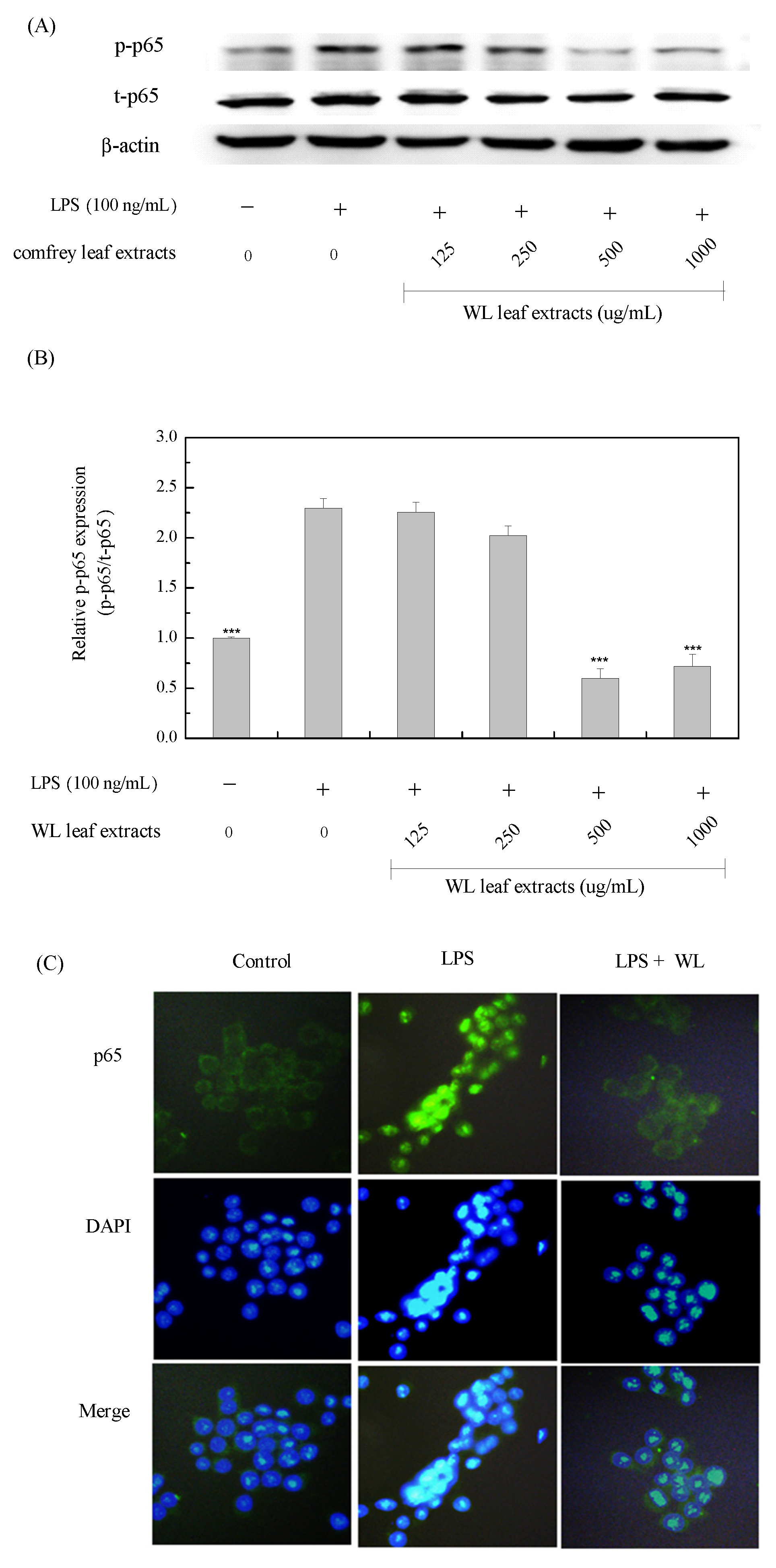 Preprints 82911 g009