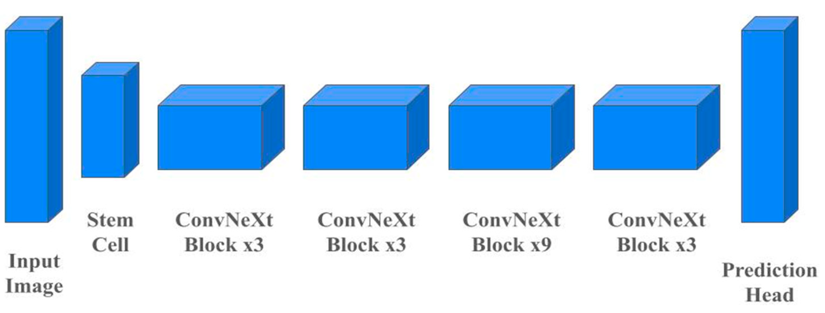 Preprints 111492 g006