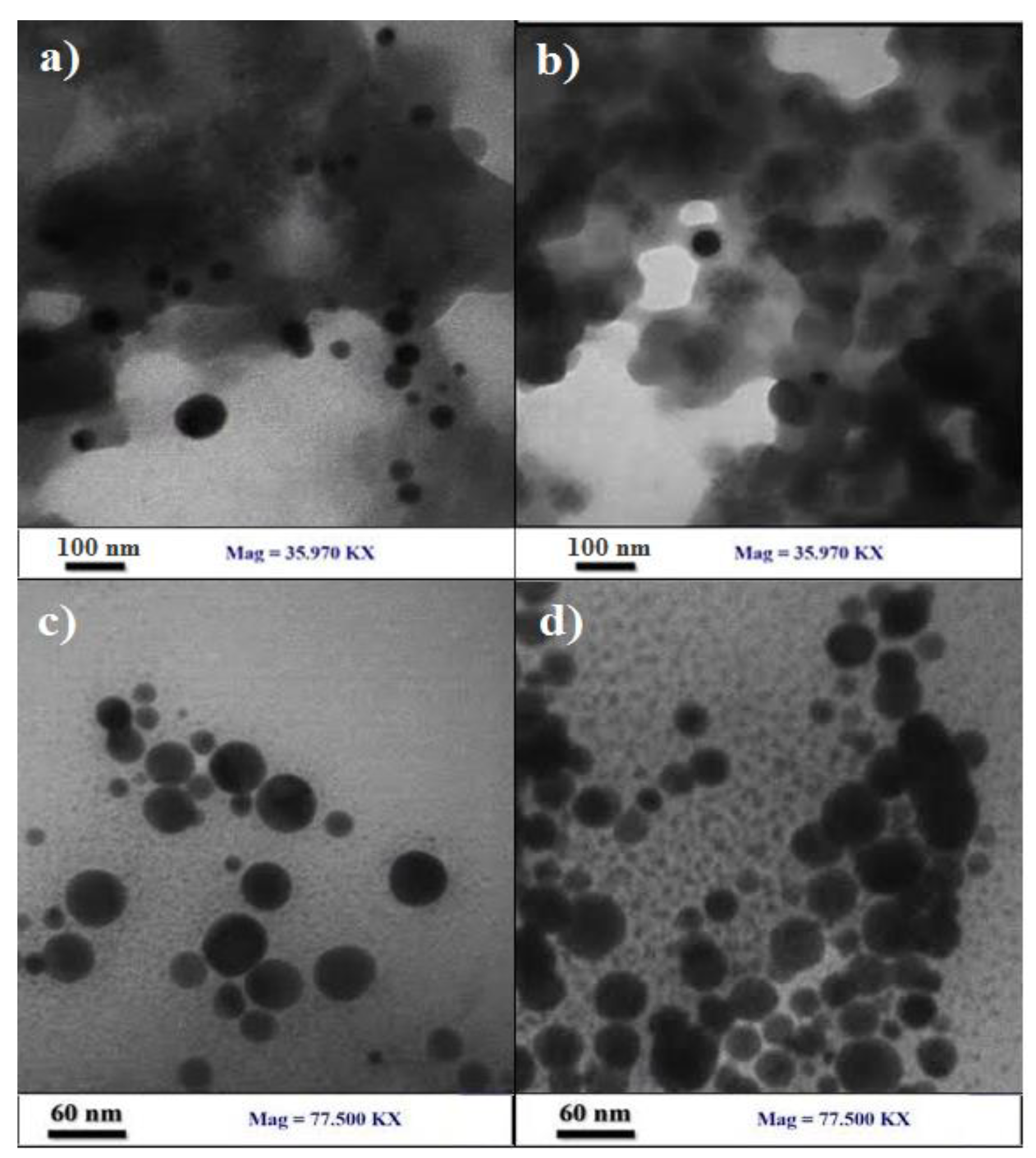 Preprints 85306 g004