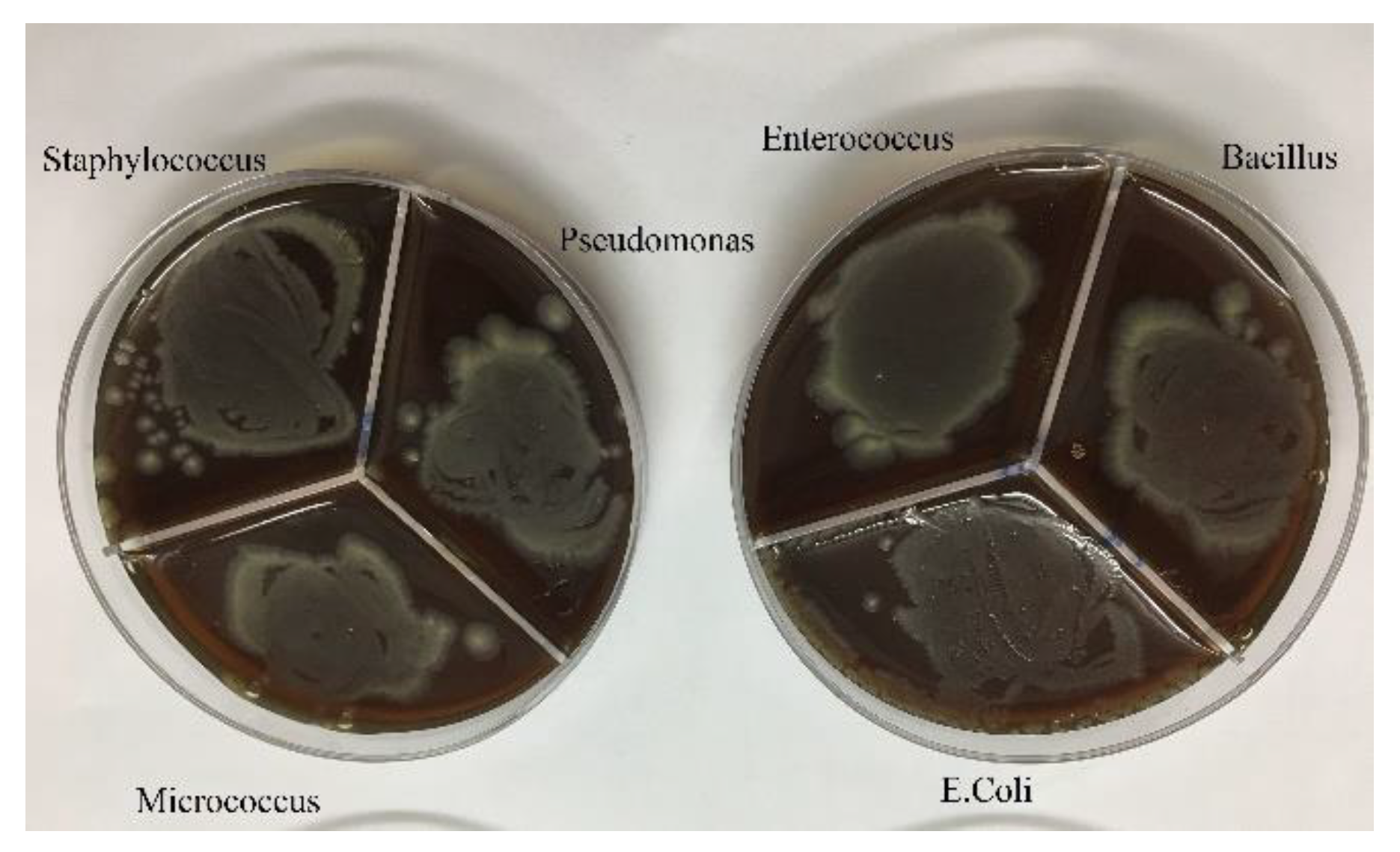 Preprints 85306 g005