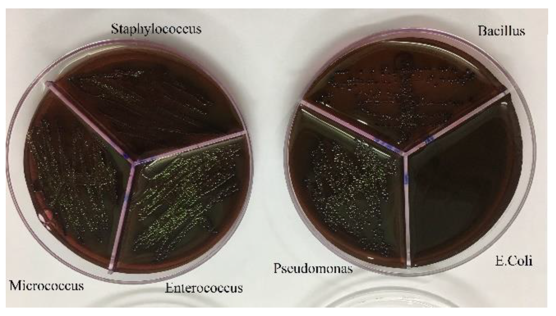 Preprints 85306 g006