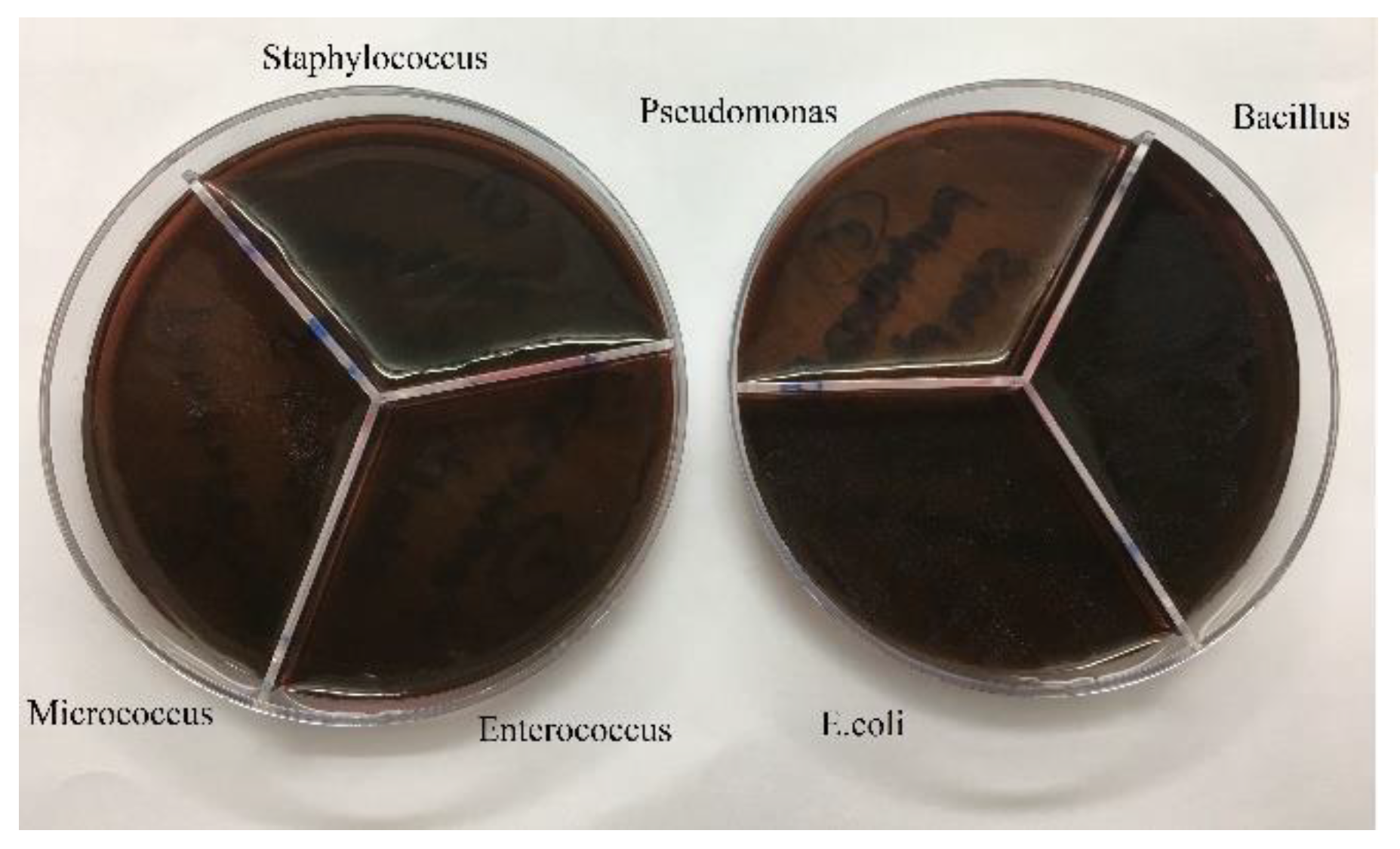 Preprints 85306 g007