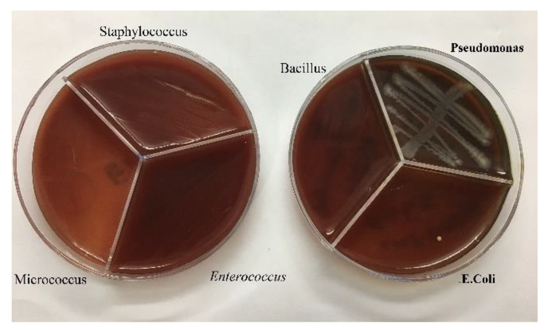 Preprints 85306 g008