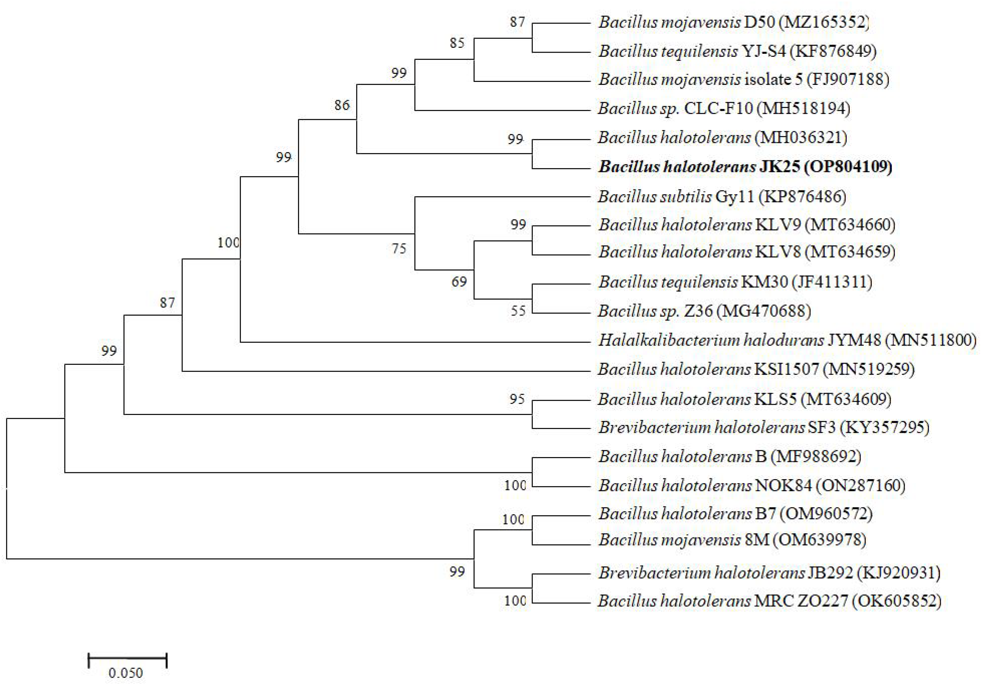 Preprints 67331 g001