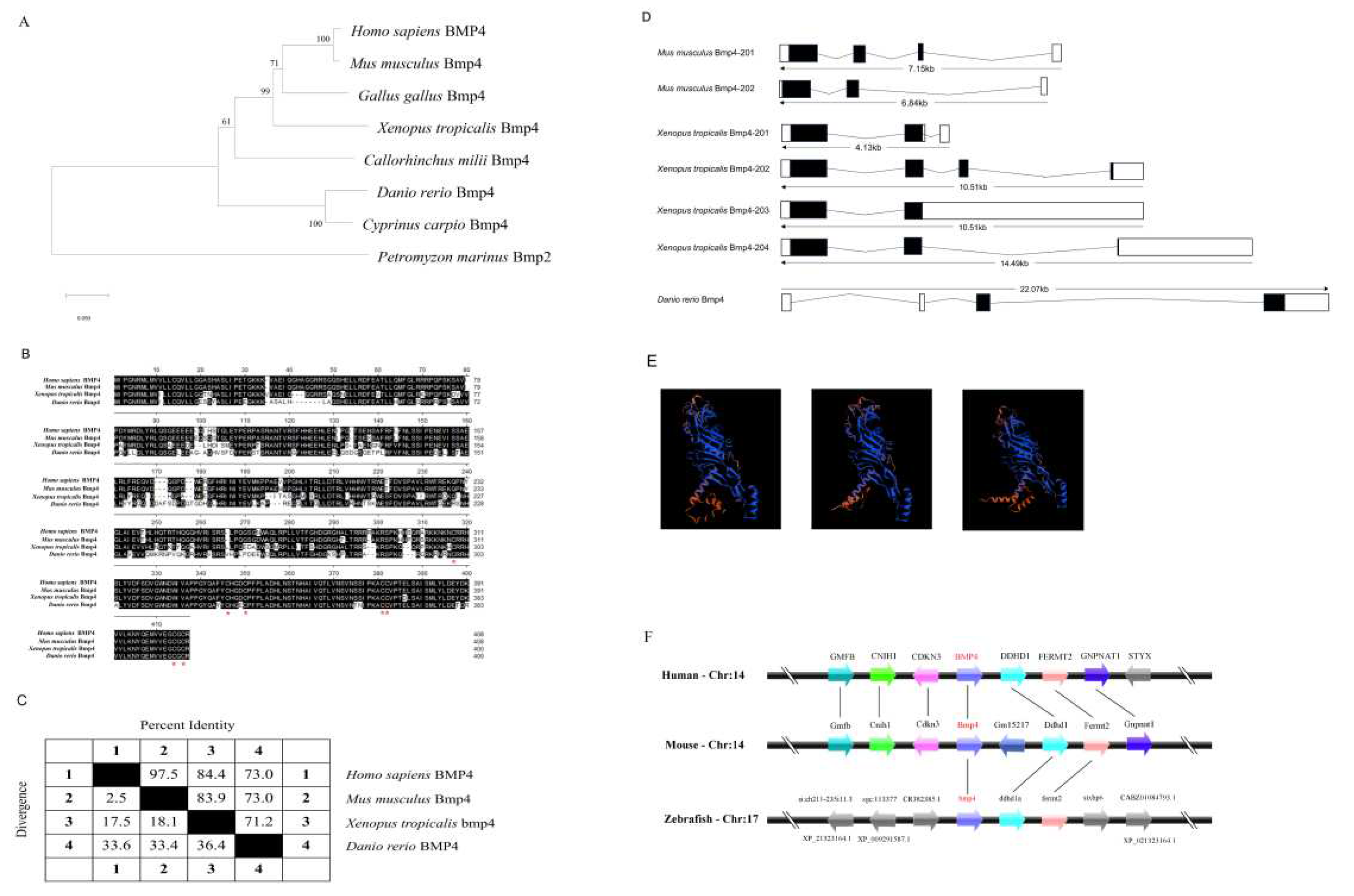 Preprints 81754 g001