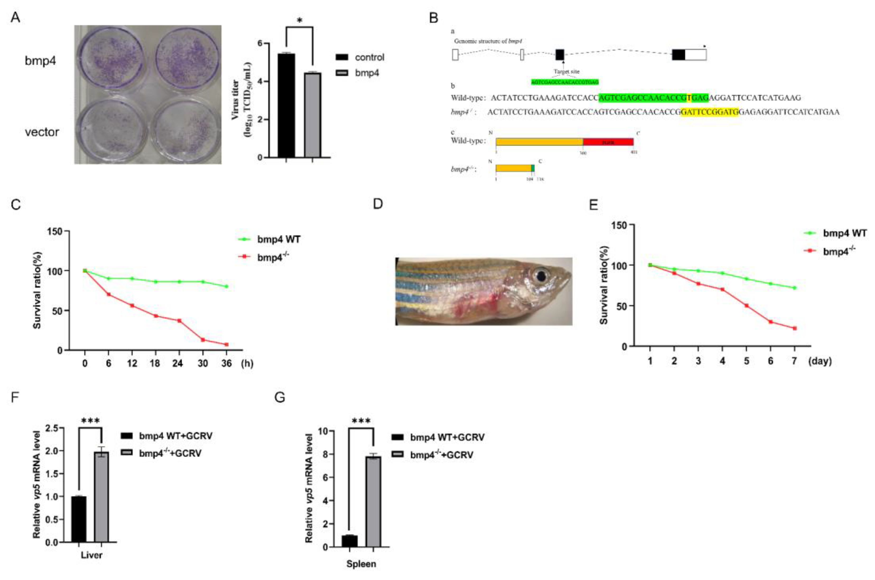 Preprints 81754 g003