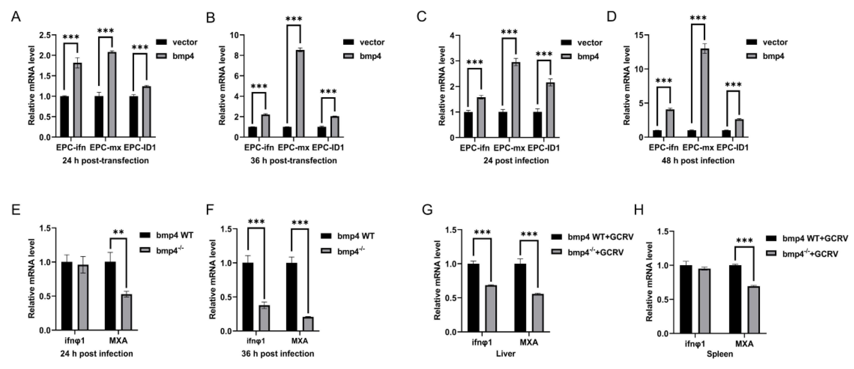 Preprints 81754 g004