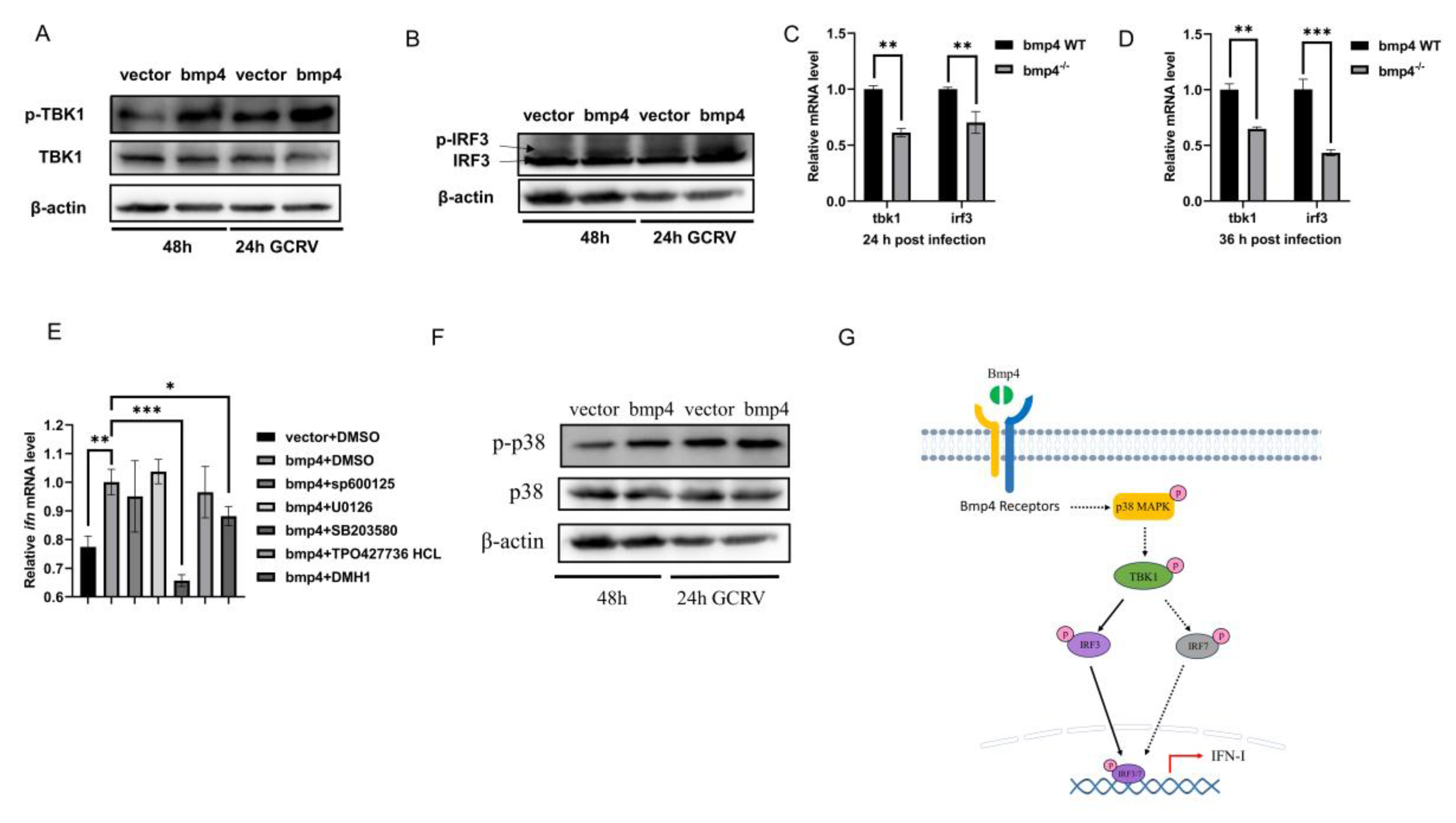 Preprints 81754 g006