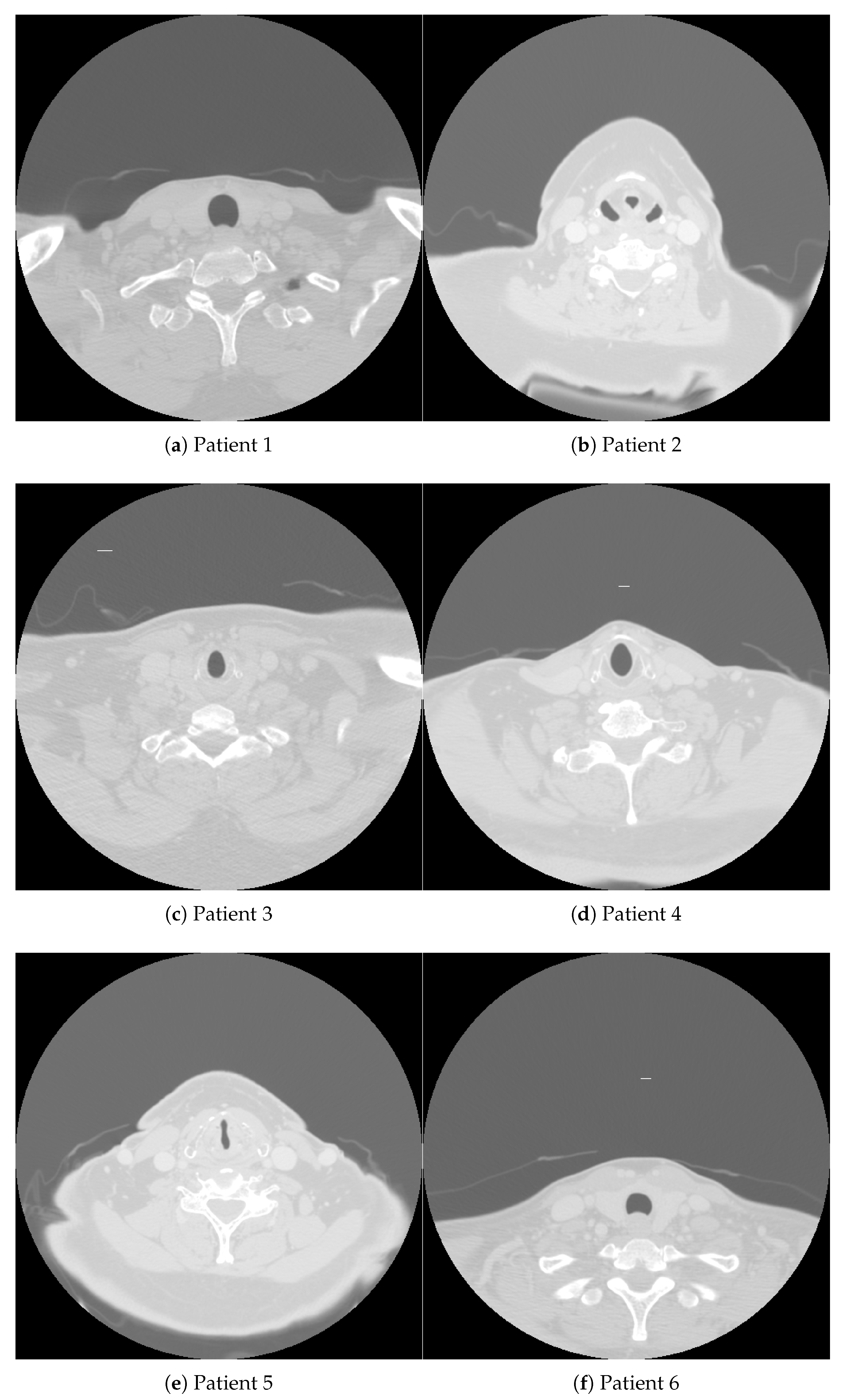 Preprints 114693 g001