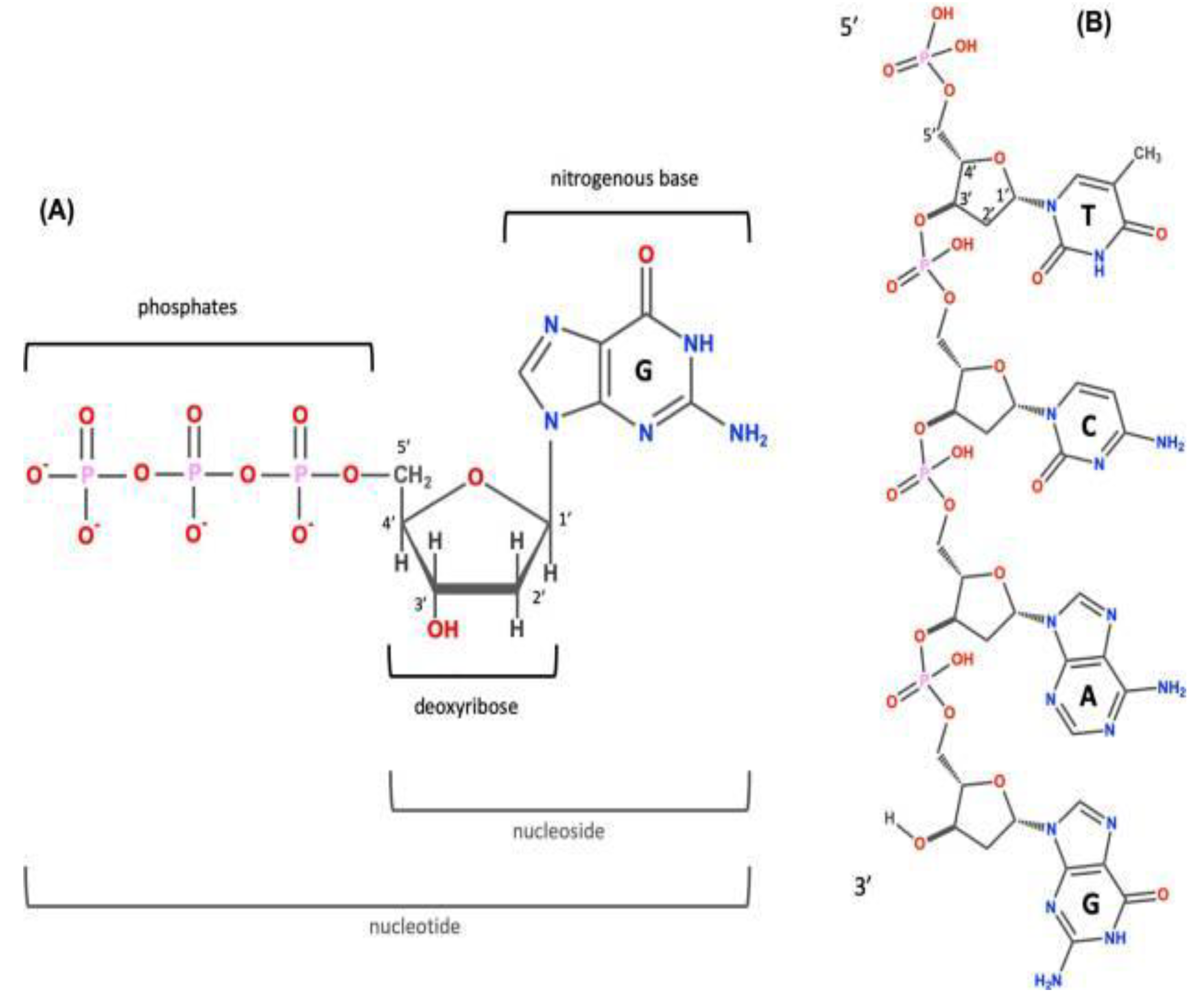 Preprints 87732 g001