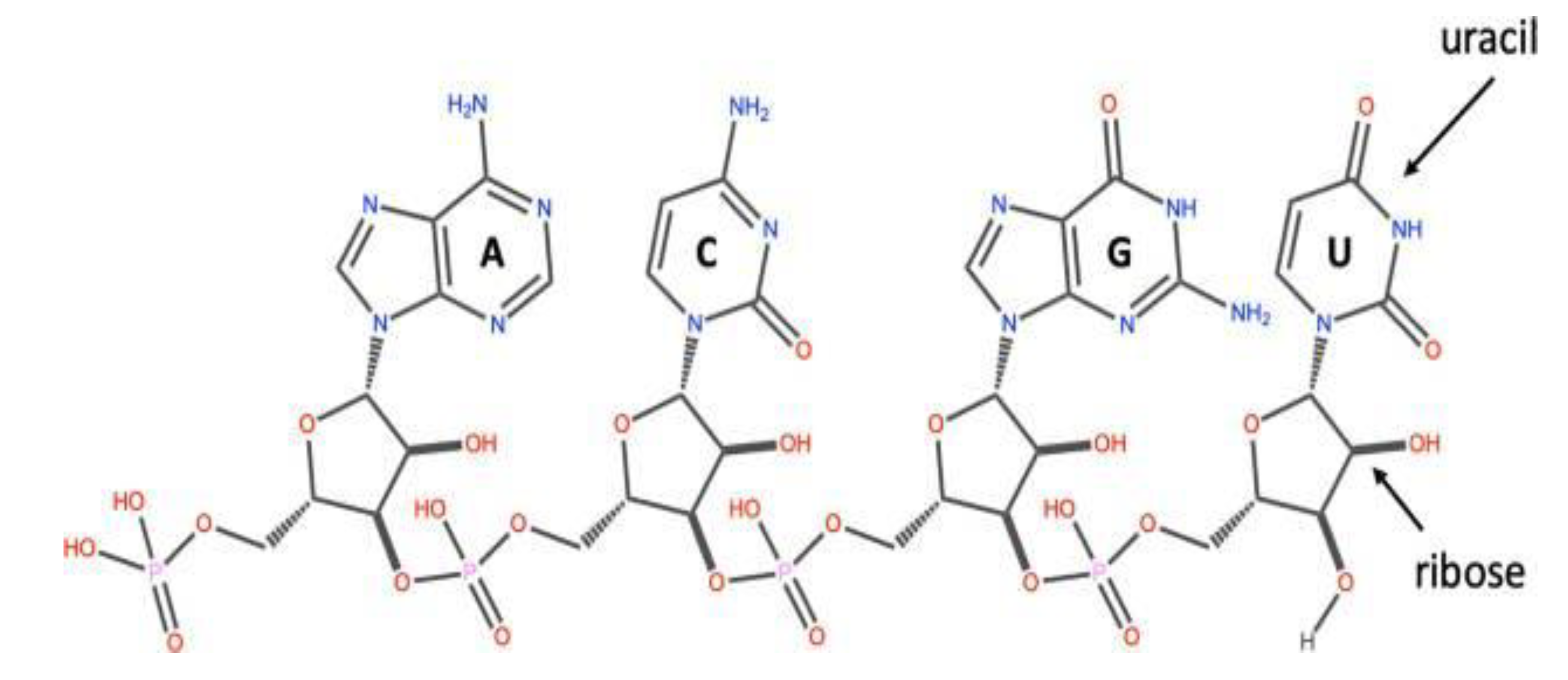 Preprints 87732 g002