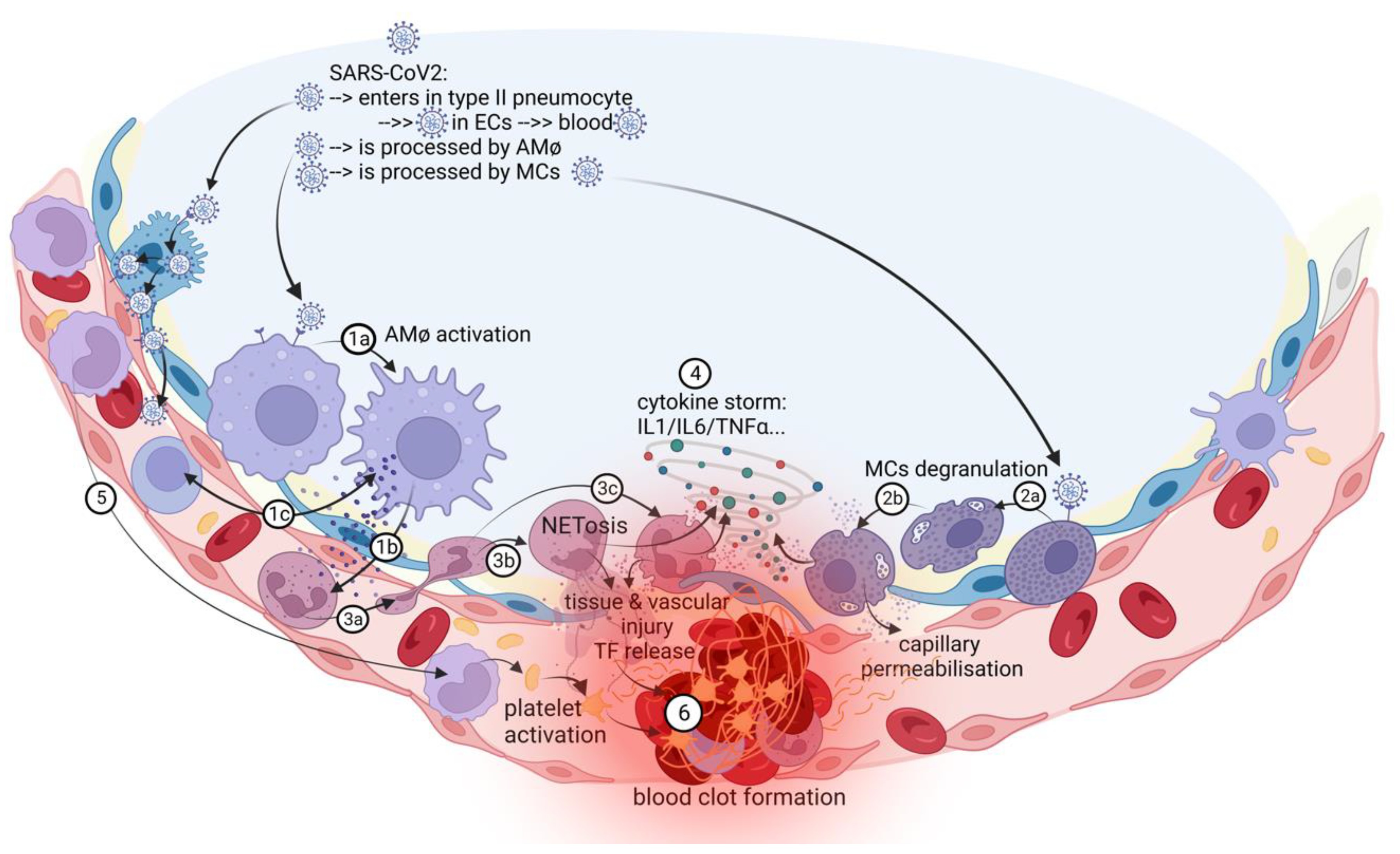 Preprints 69275 g002