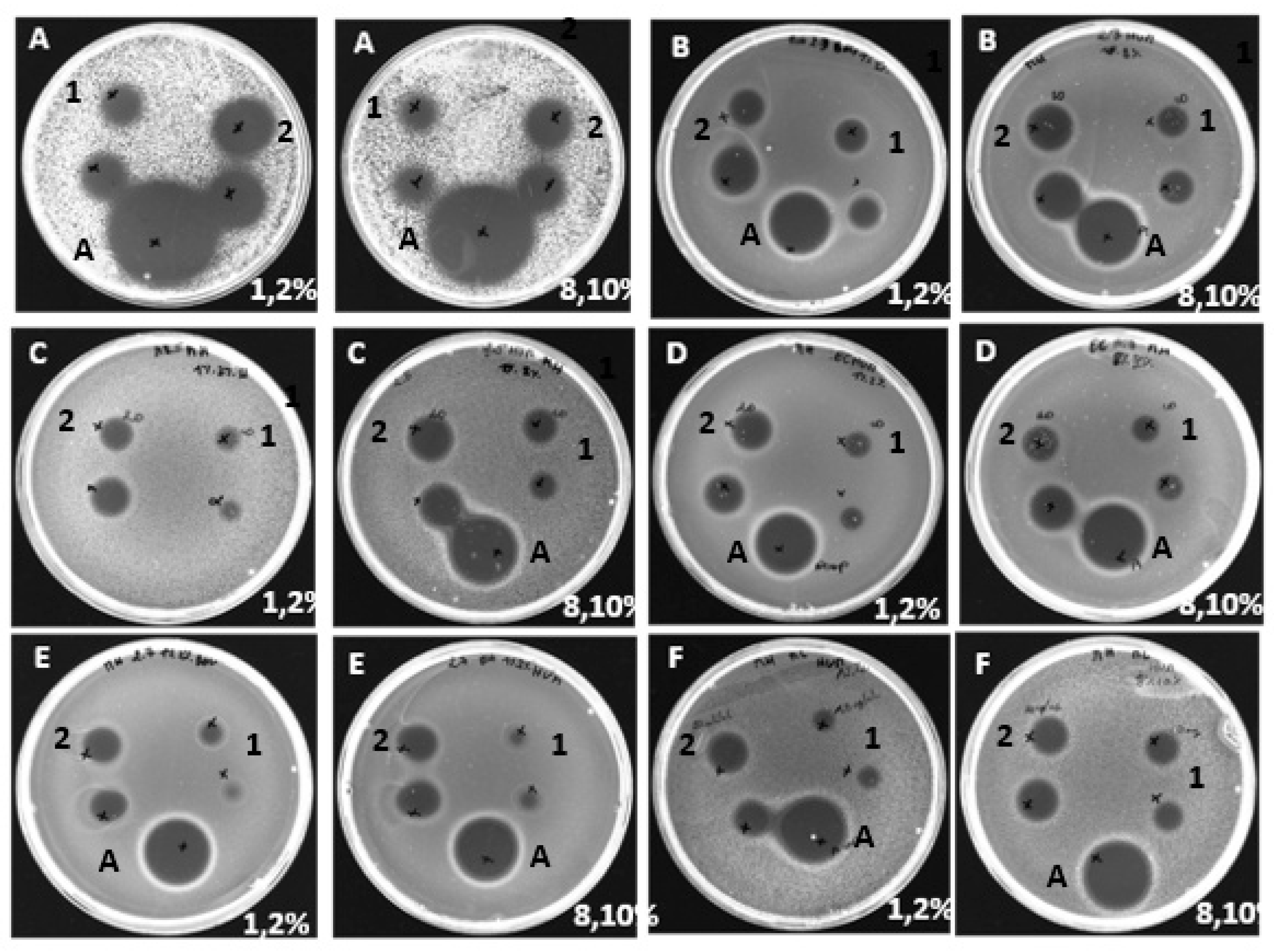 Preprints 78648 g001