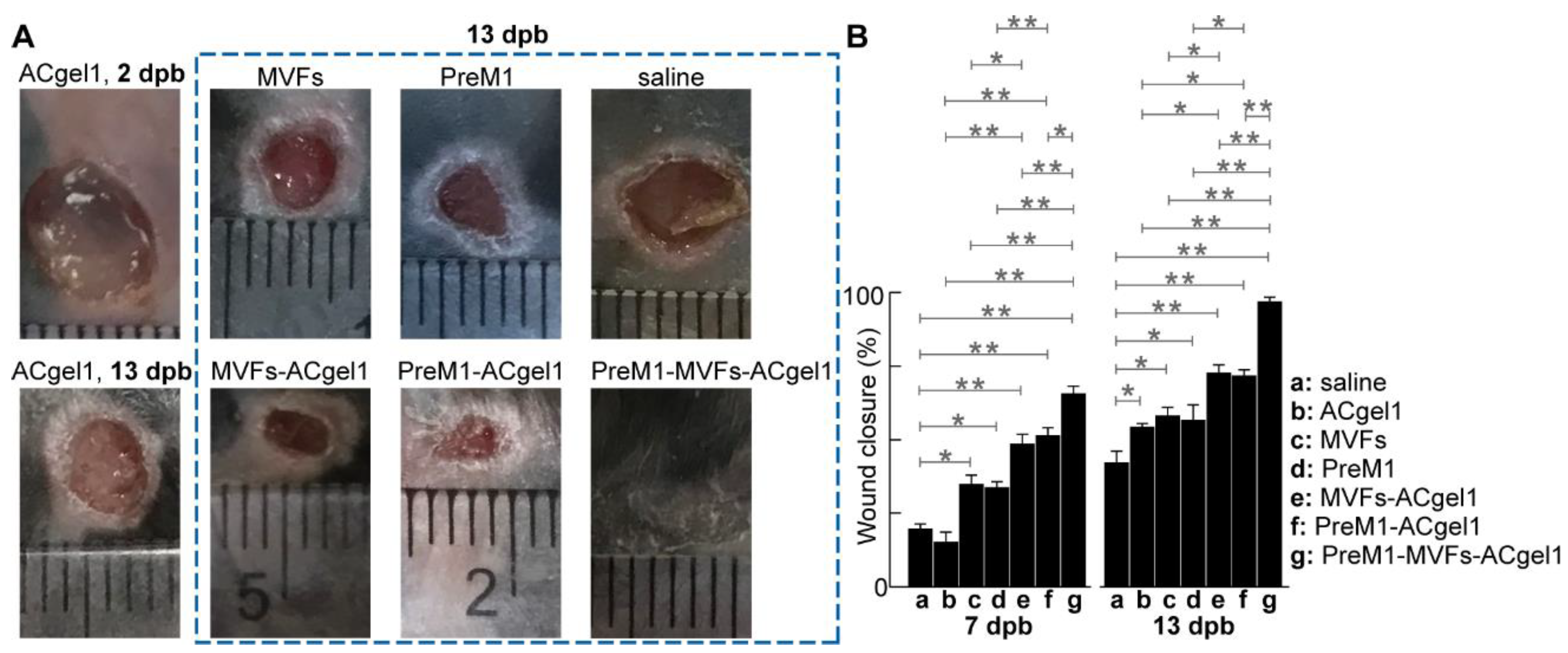 Preprints 118353 g002