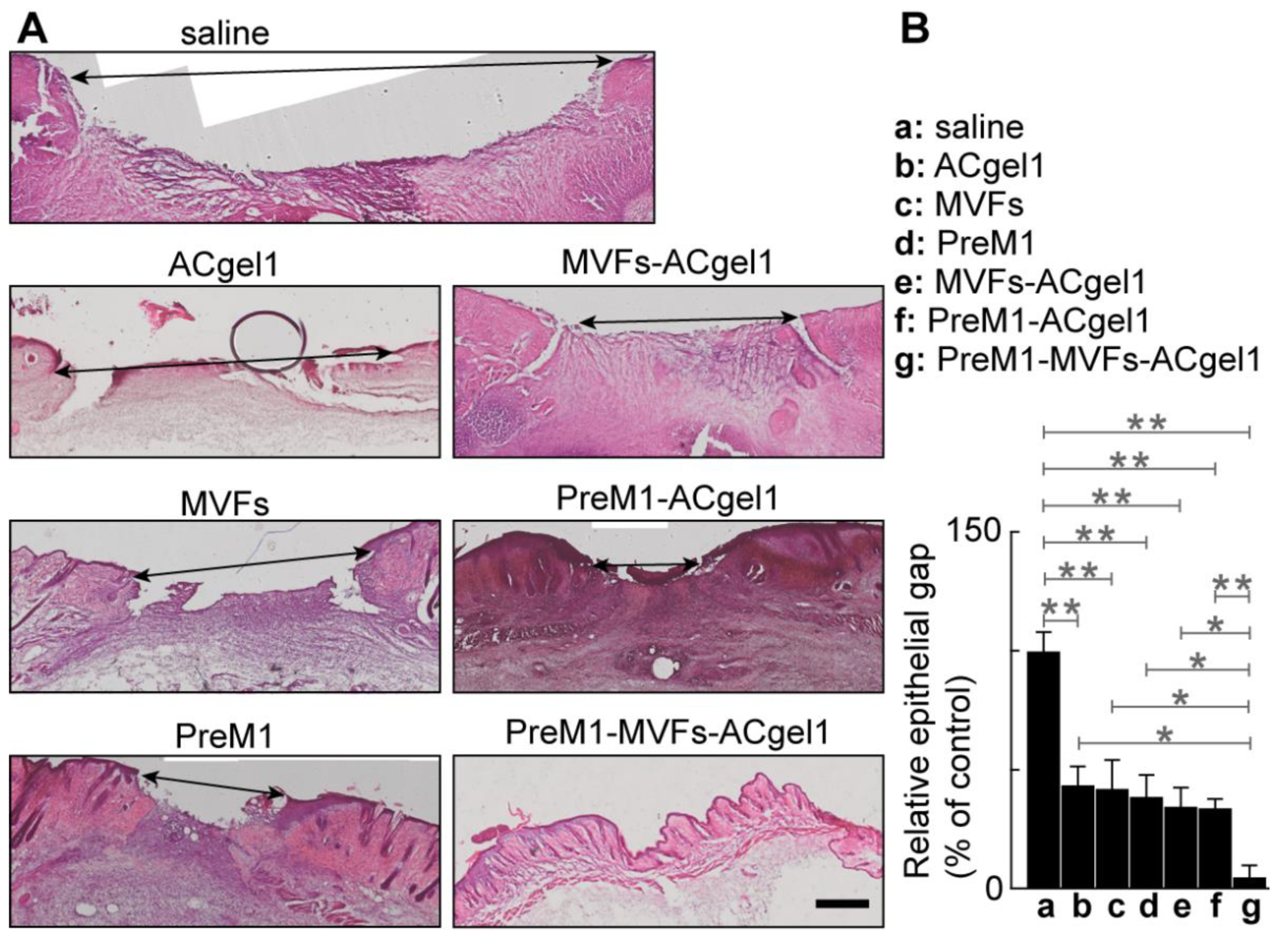 Preprints 118353 g003