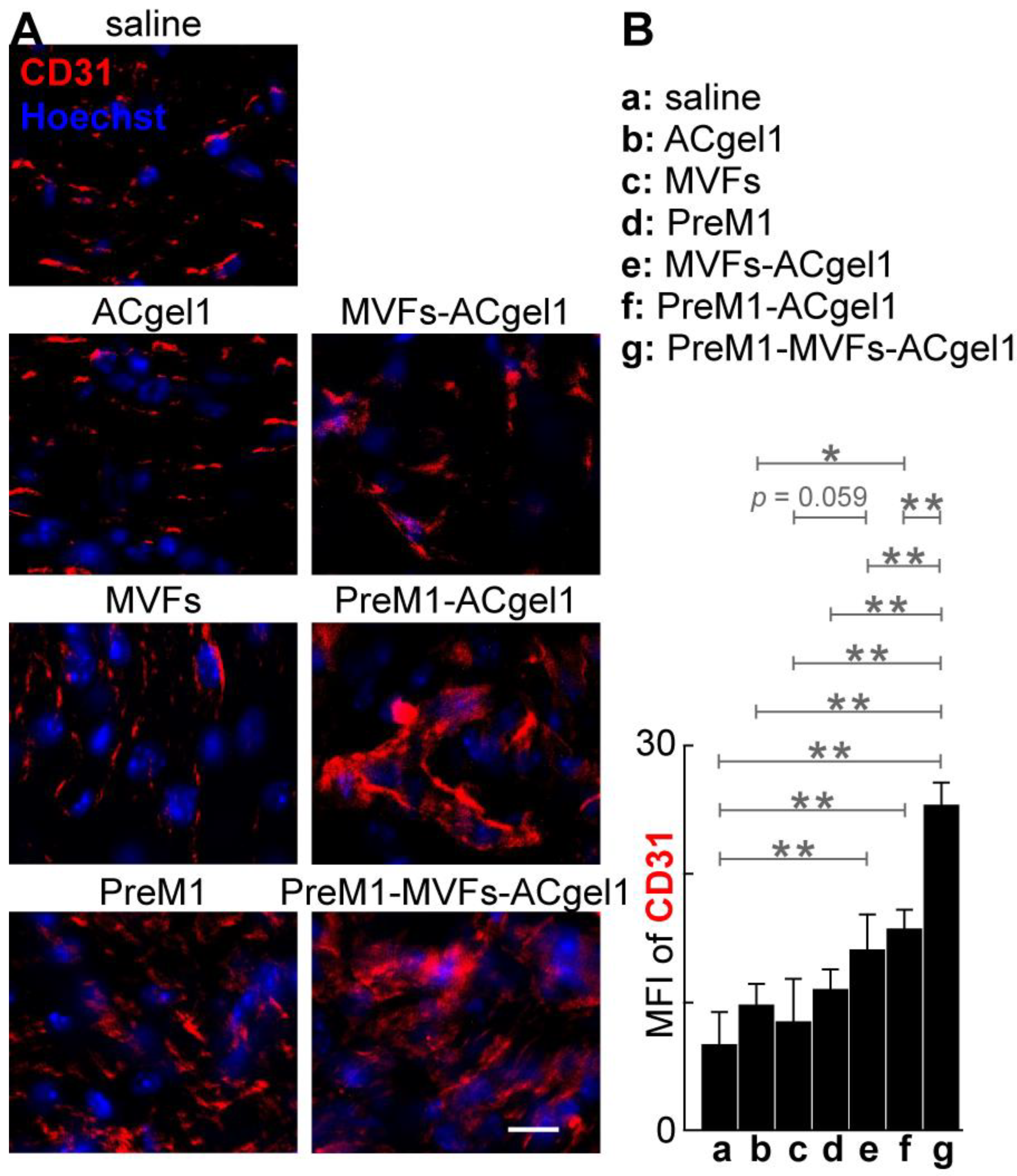 Preprints 118353 g004