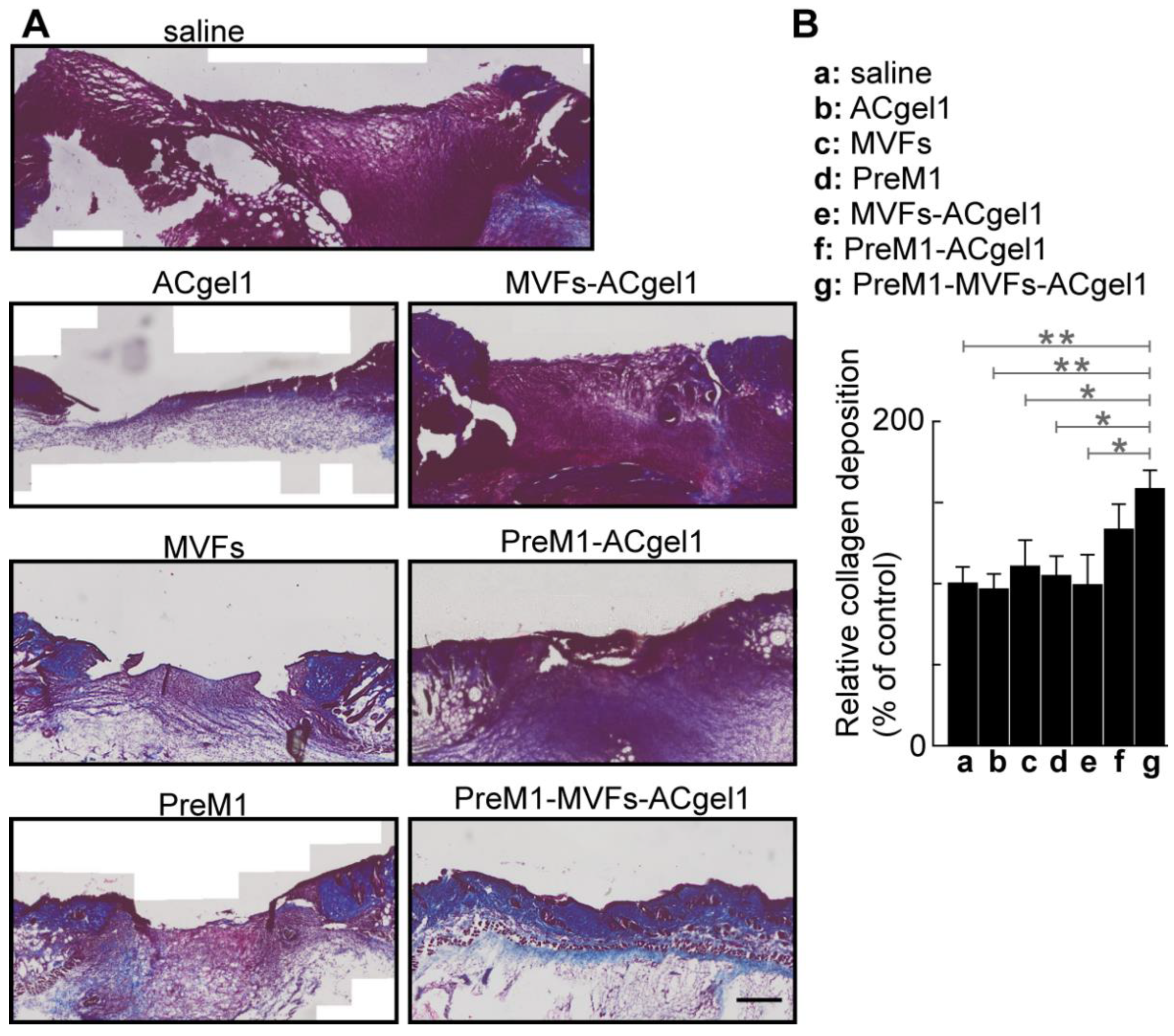 Preprints 118353 g005