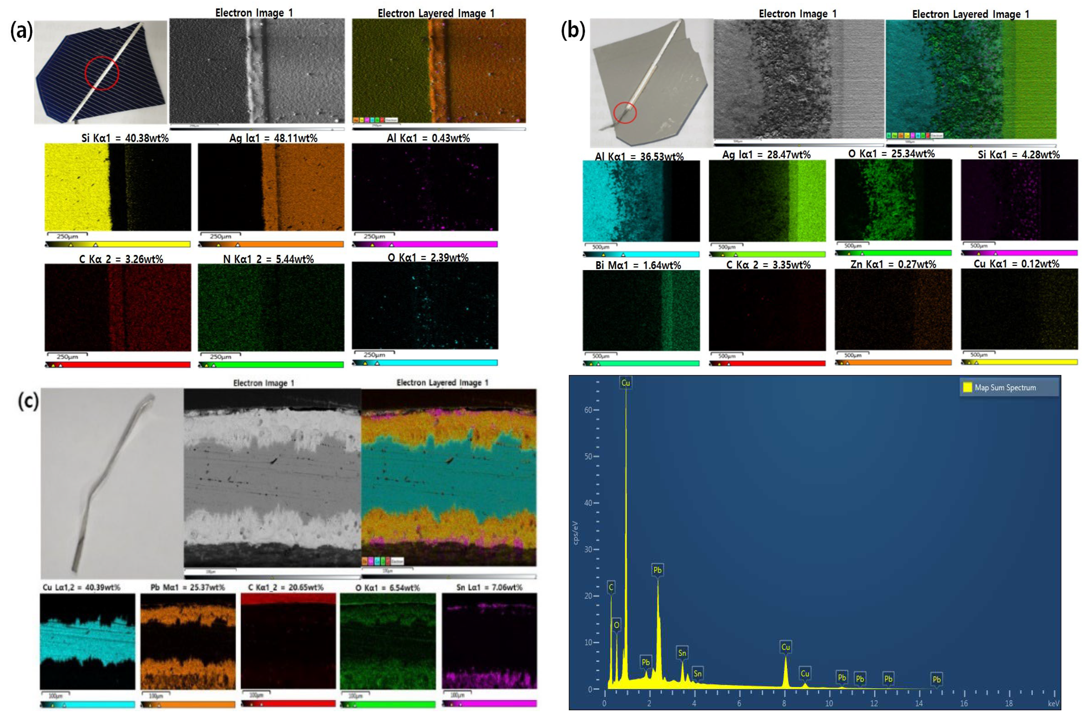 Preprints 91055 g001