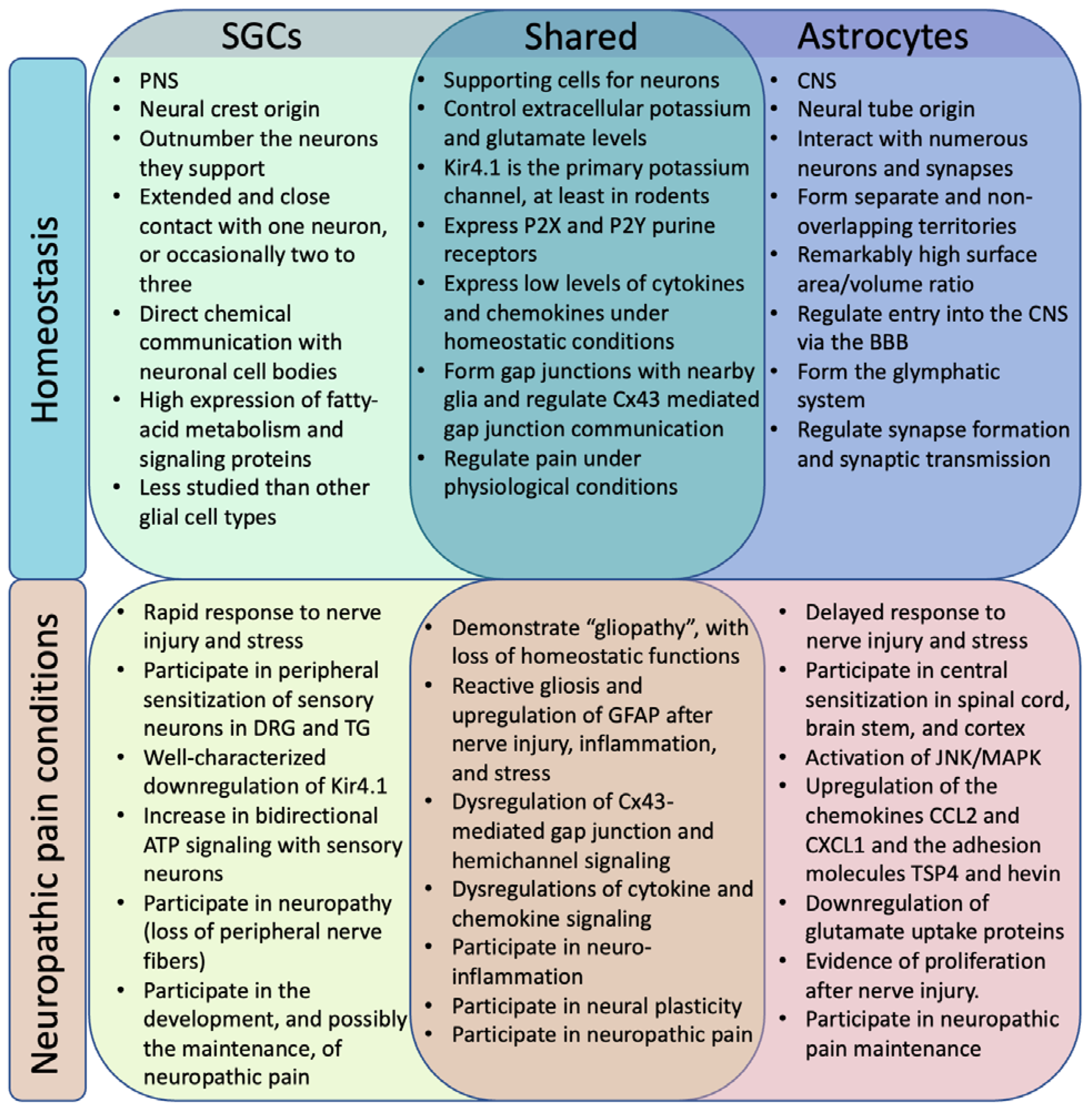 Preprints 69155 g001