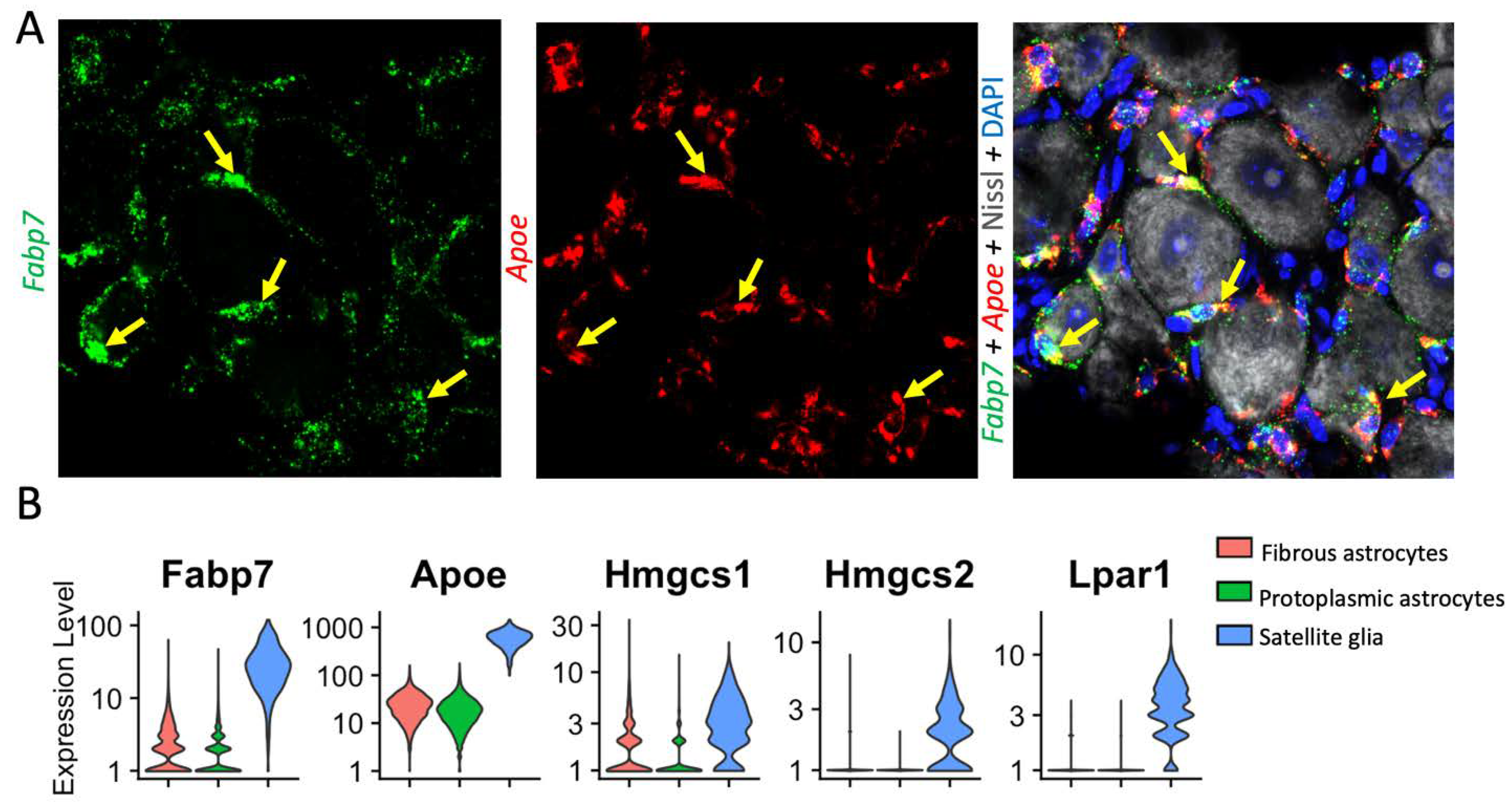 Preprints 69155 g005