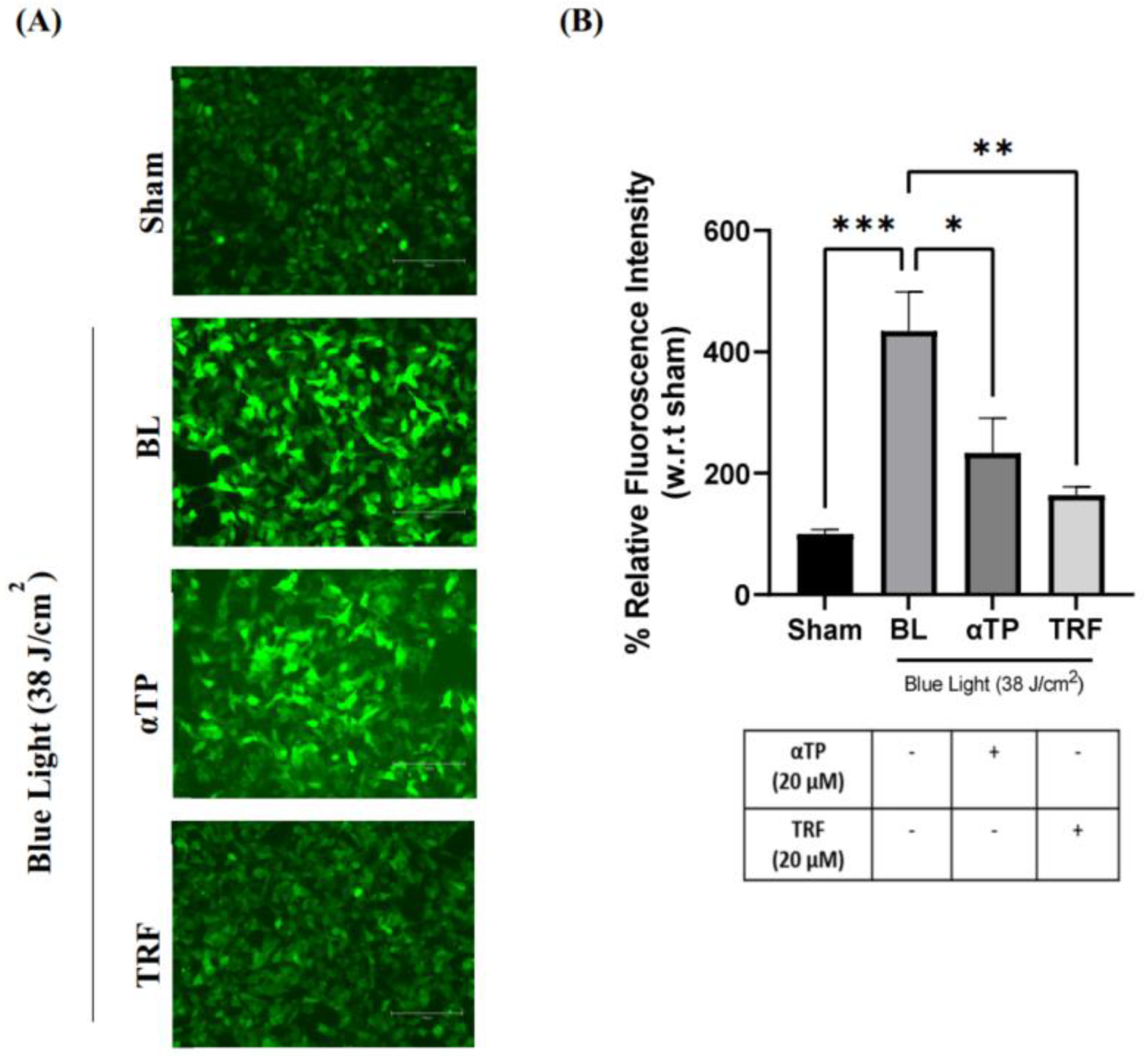 Preprints 86280 g003