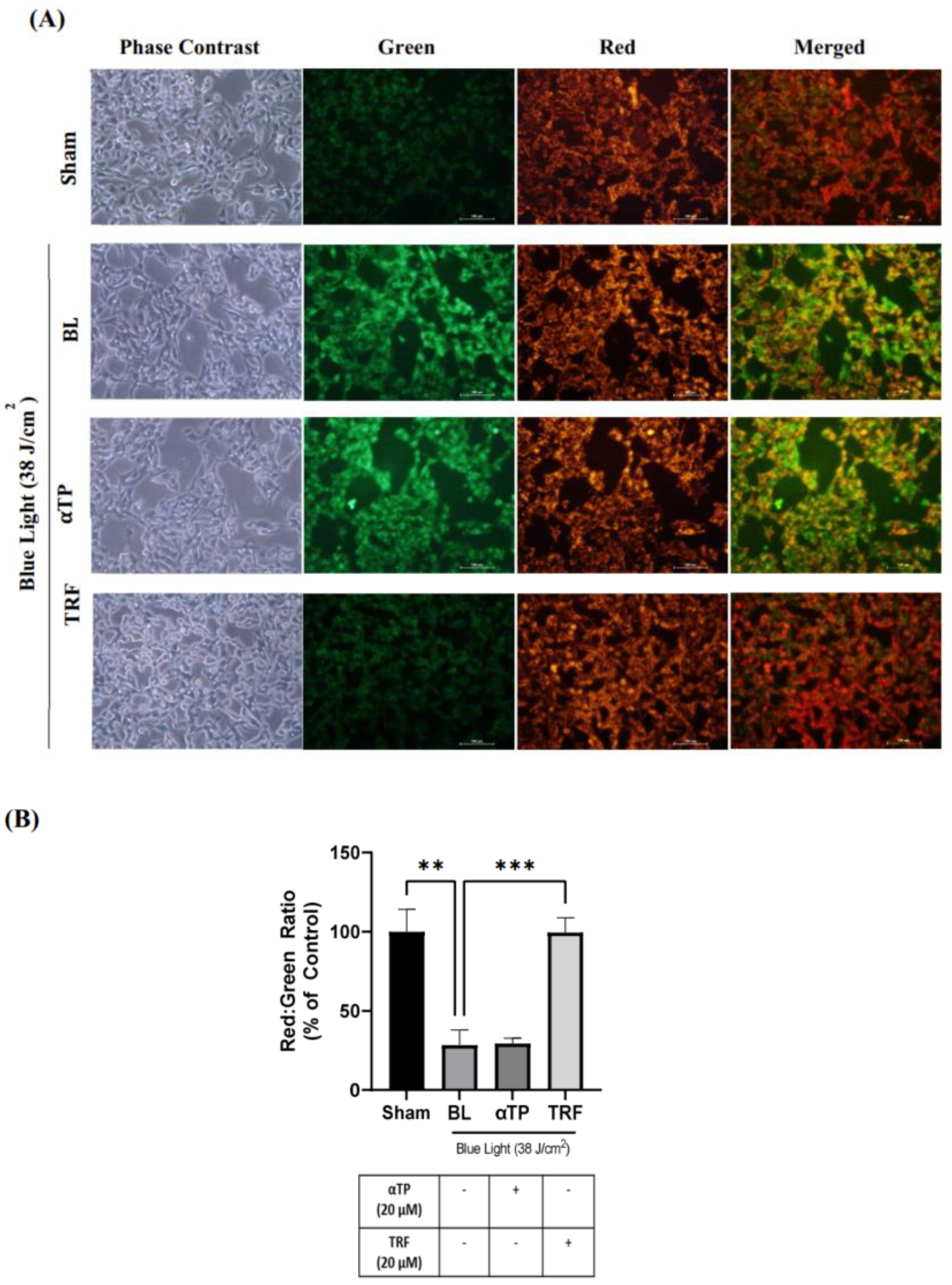 Preprints 86280 g004