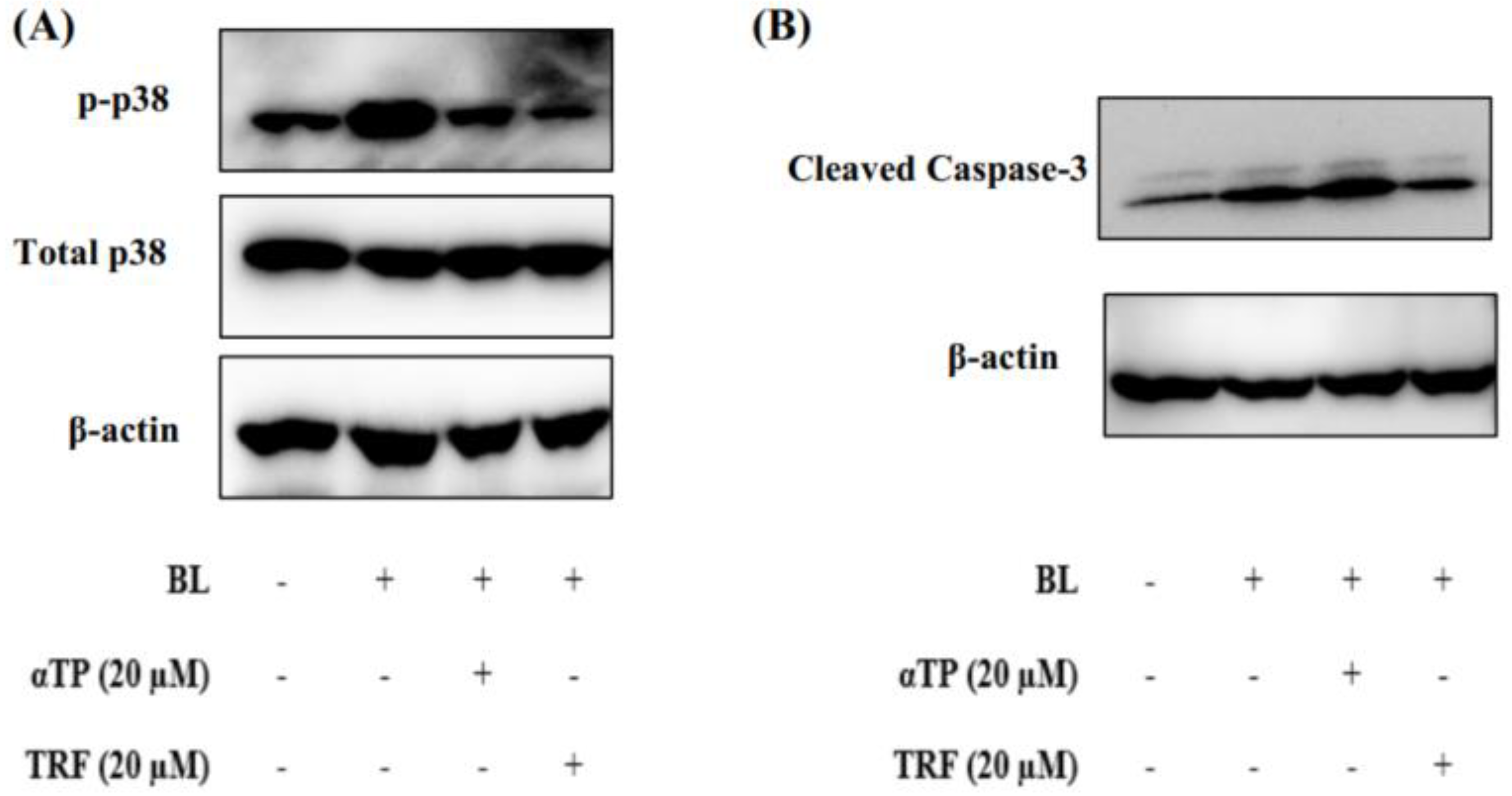 Preprints 86280 g005