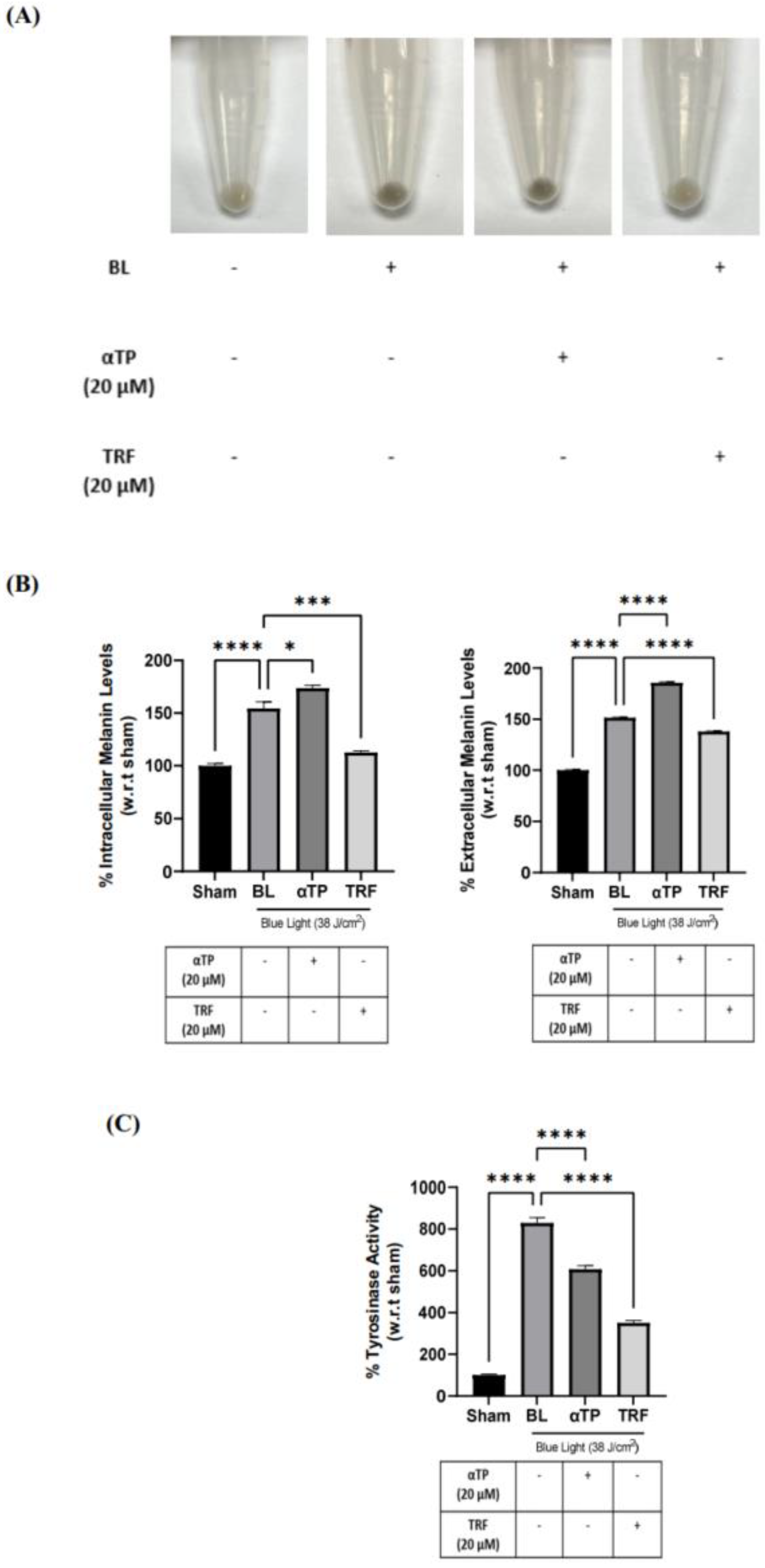 Preprints 86280 g006