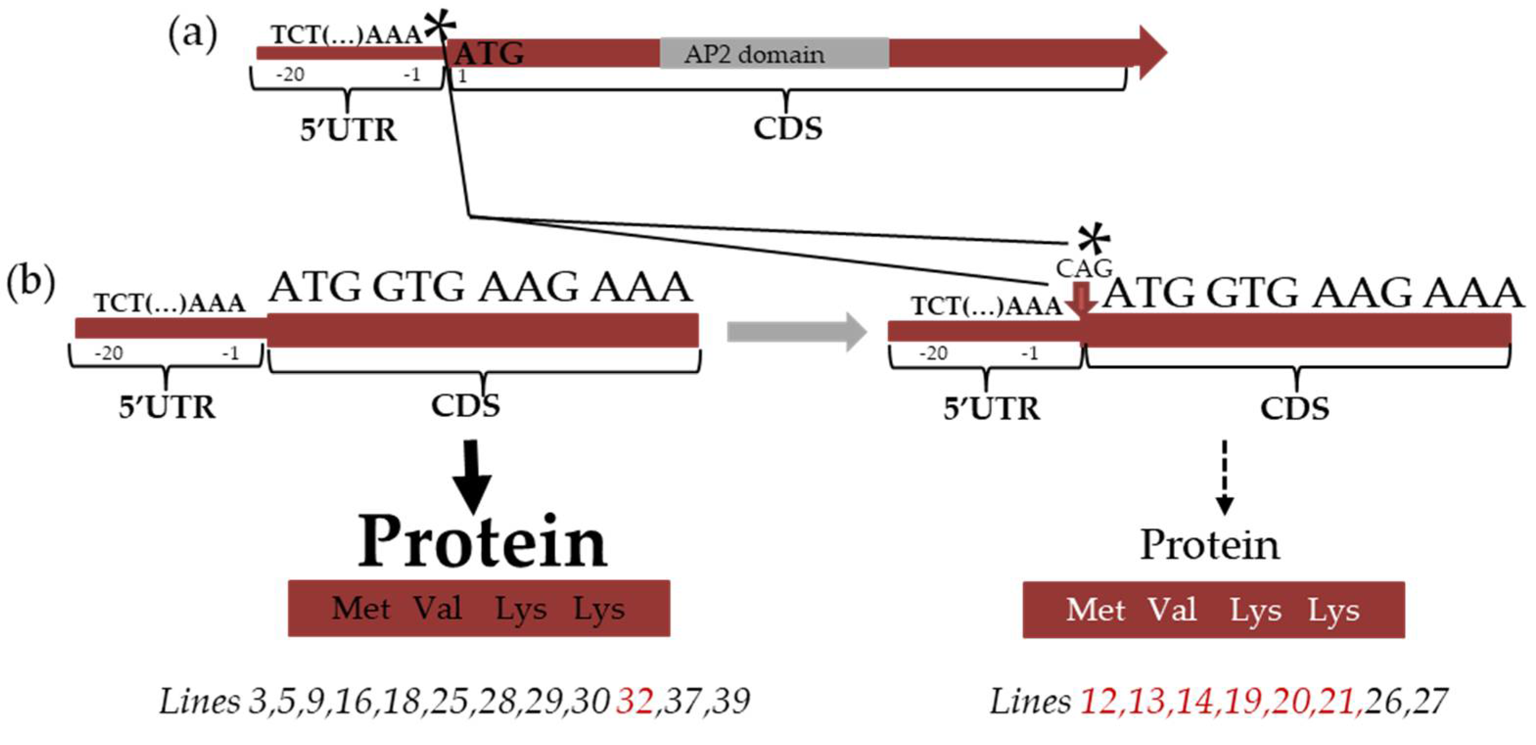 Preprints 105736 g004