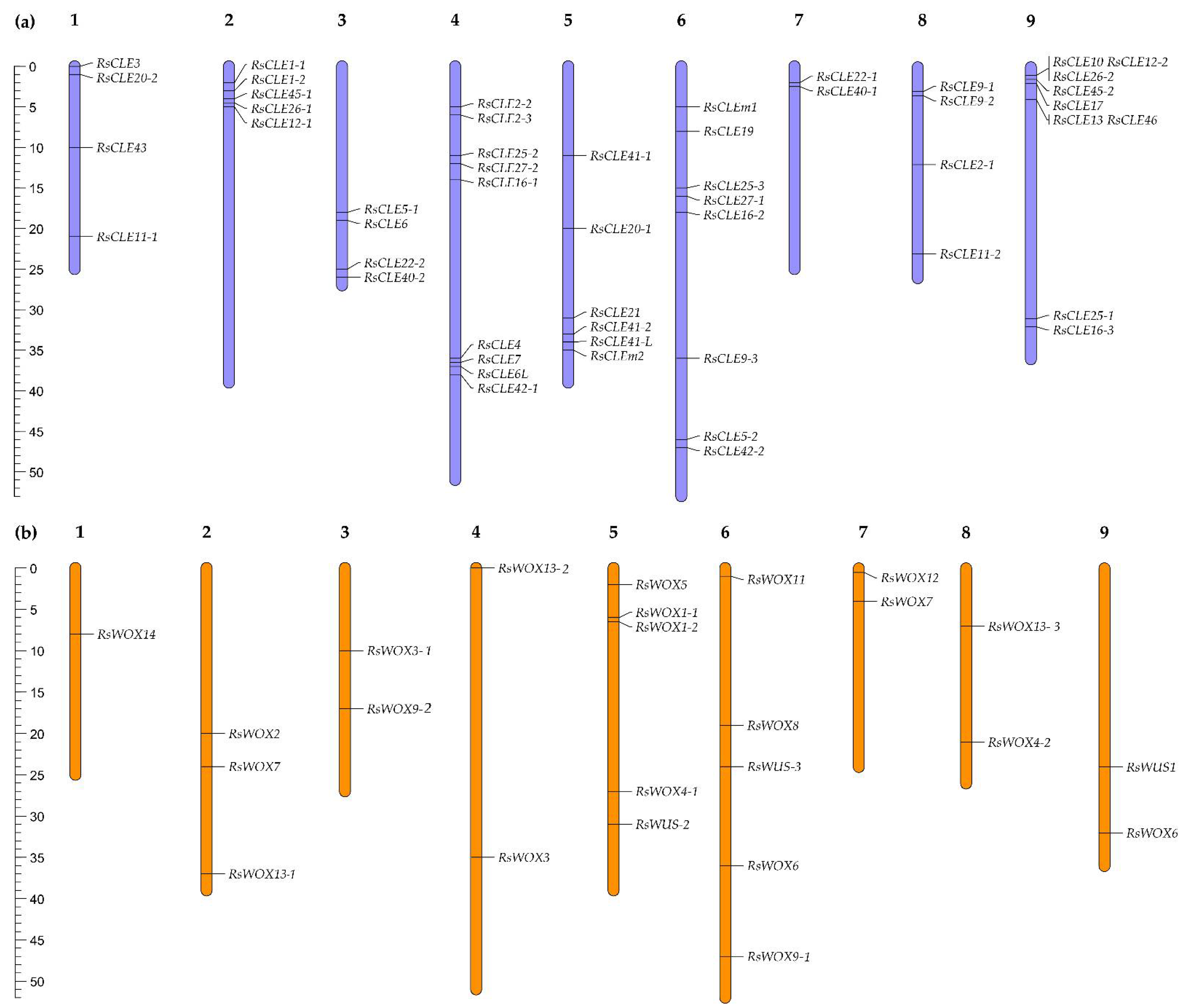 Preprints 105736 g005