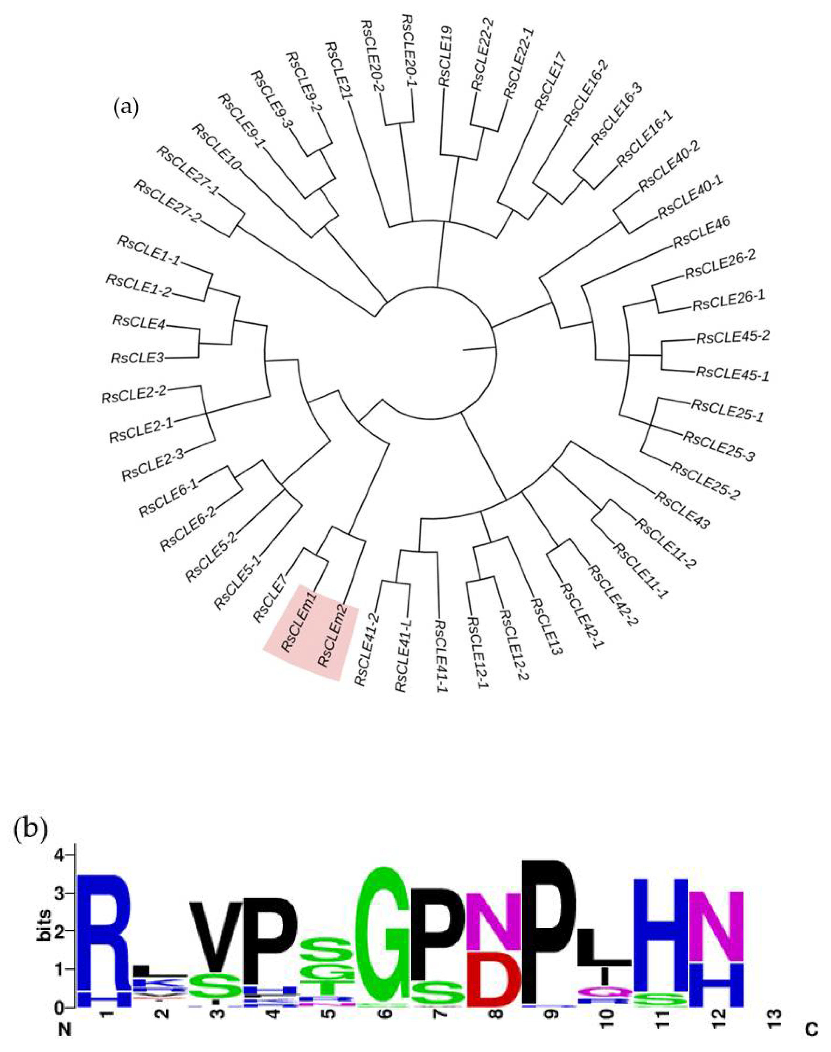 Preprints 105736 g006