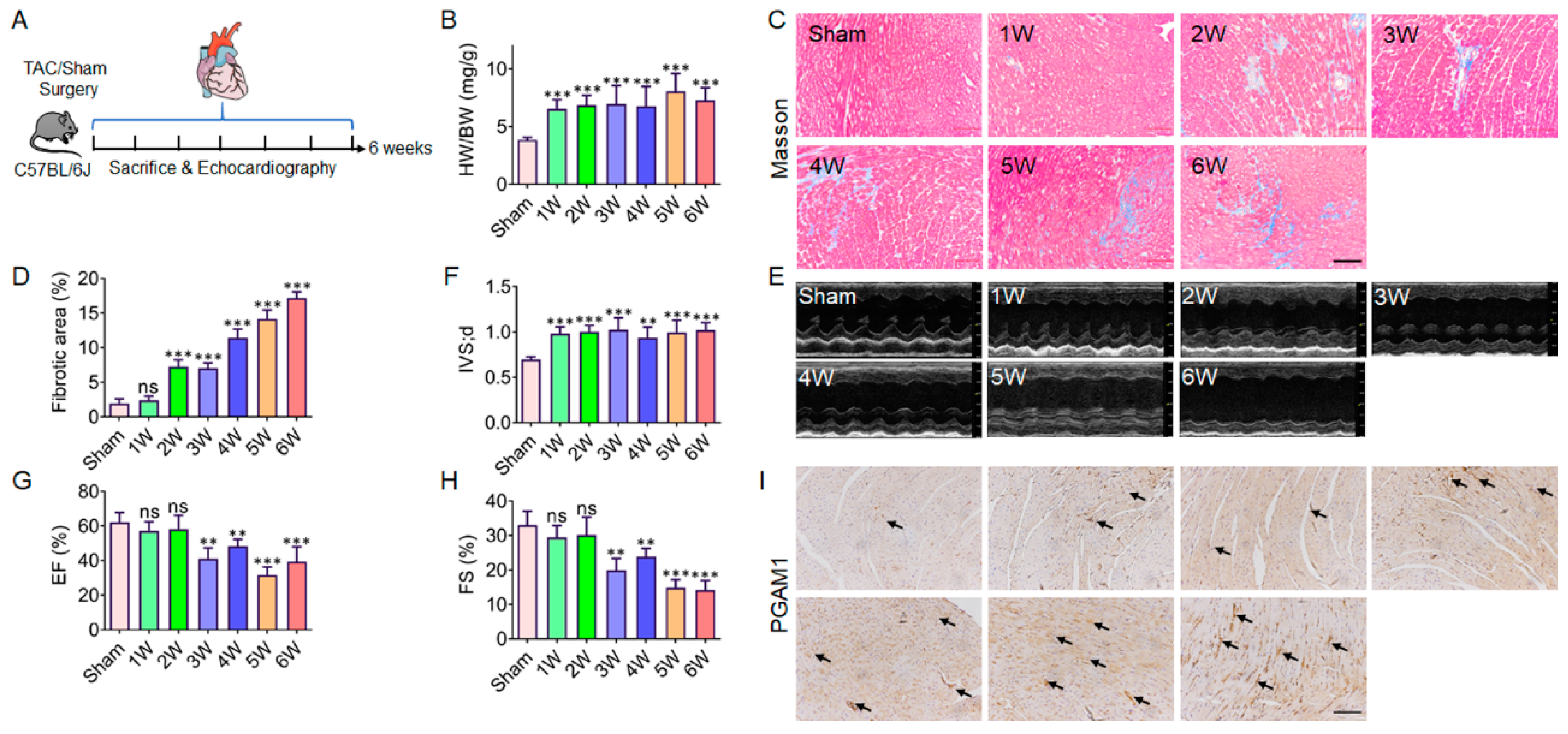 Preprints 105926 g002