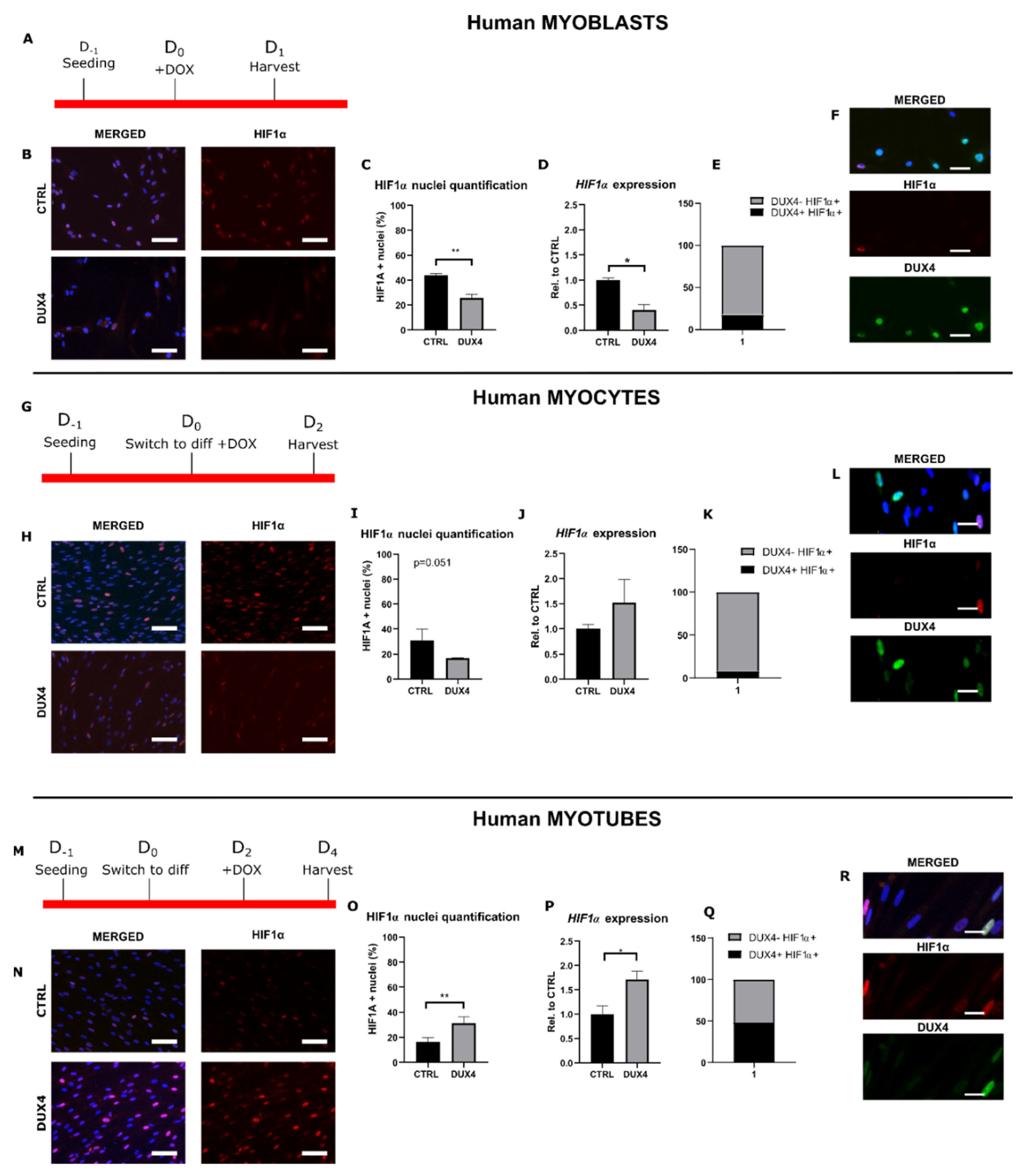 Preprints 97418 g001