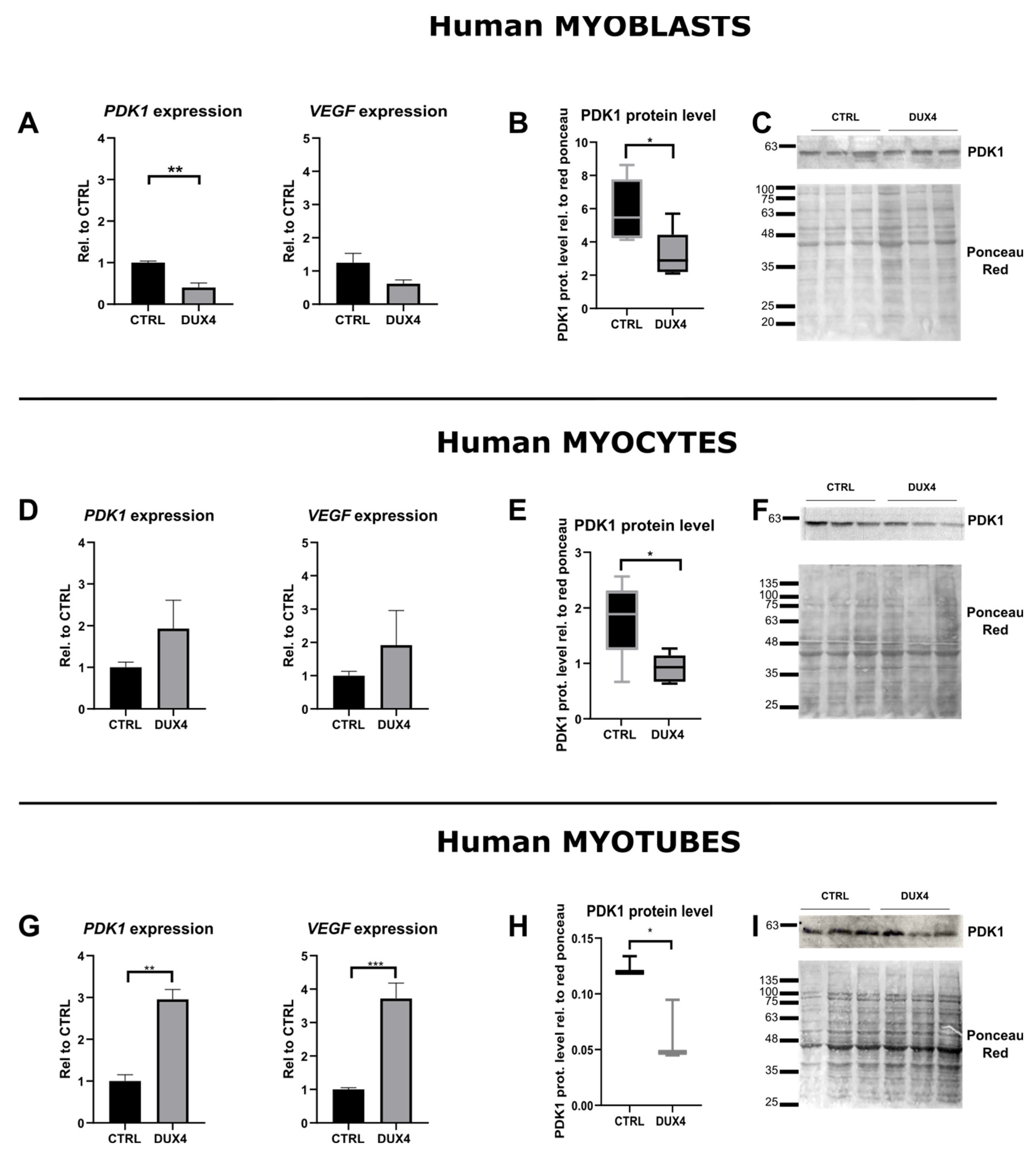 Preprints 97418 g002