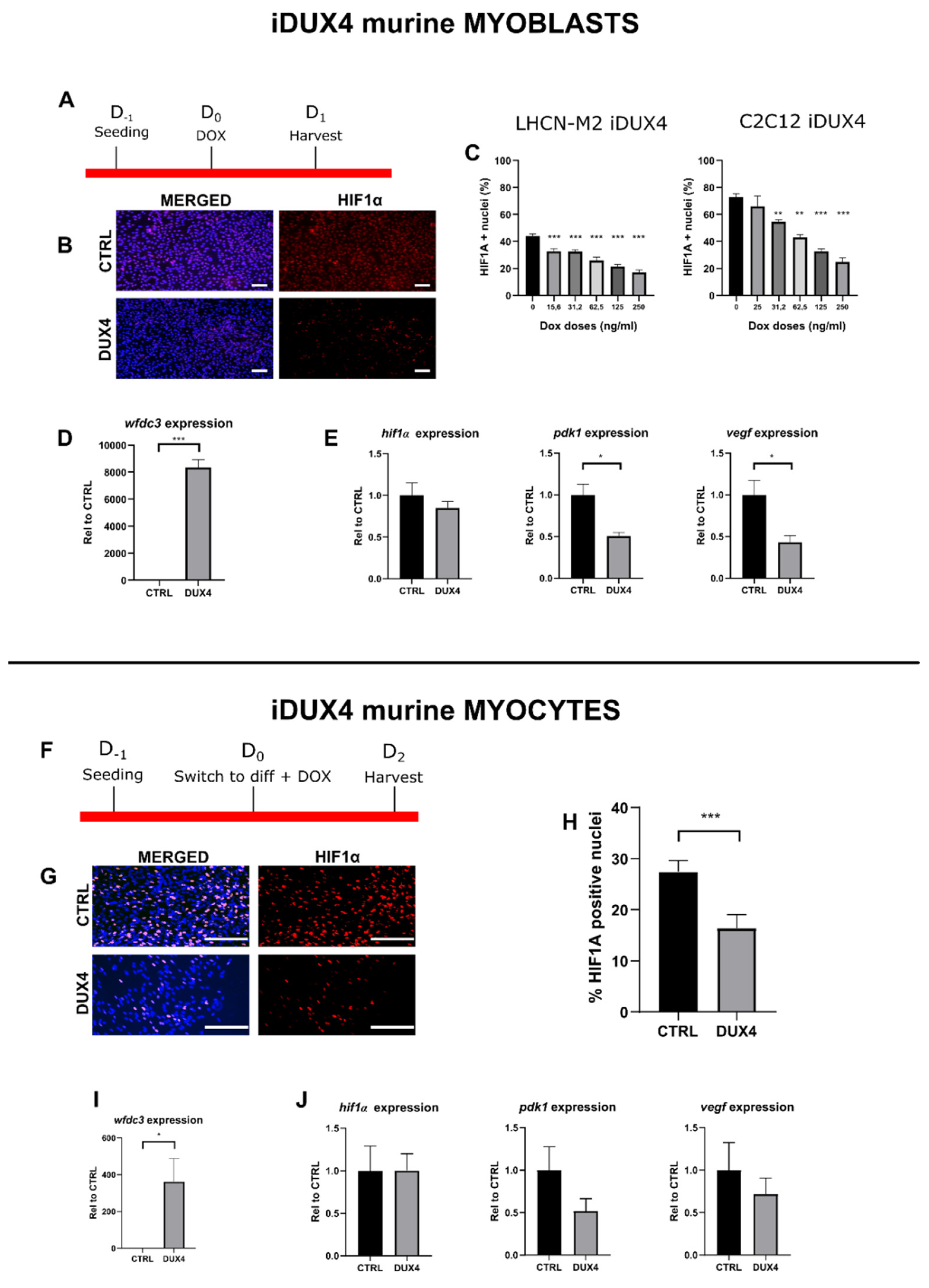 Preprints 97418 g003