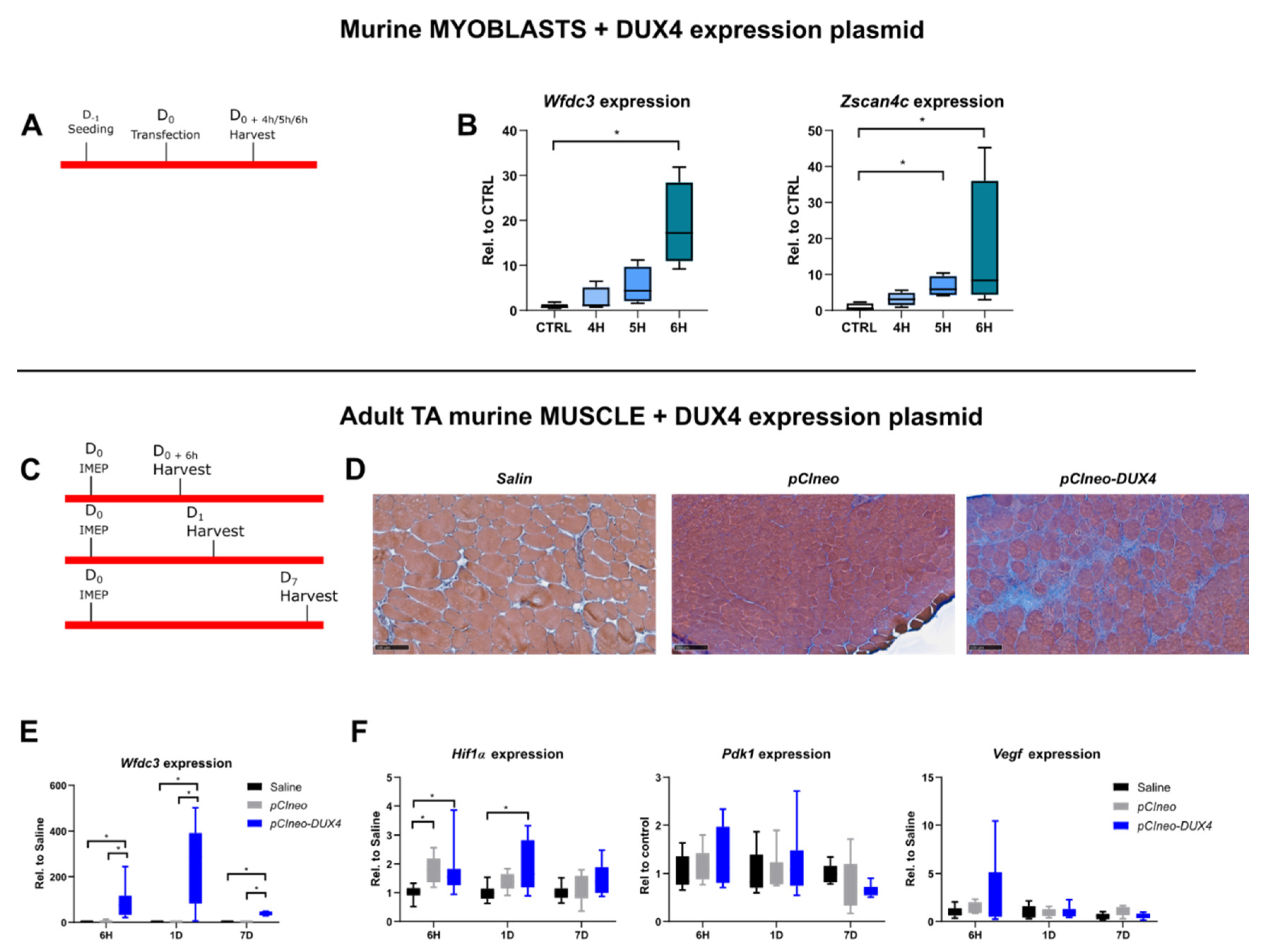 Preprints 97418 g004